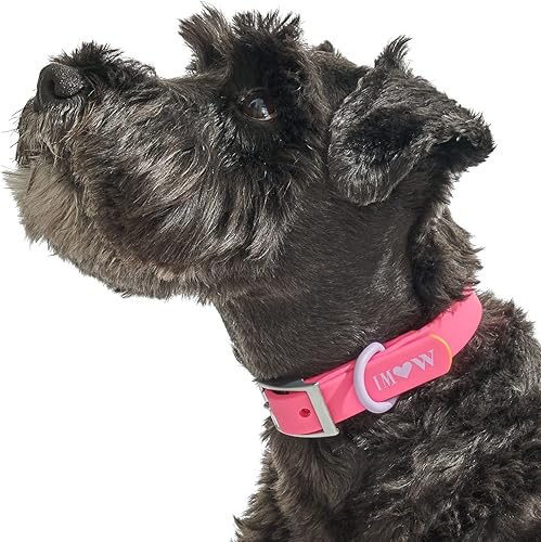 Wild One, Edición limitada, Designer Collection, collar rosa para perro, fácil de limpiar, correa de poliéster flexible para todo tipo de clima con