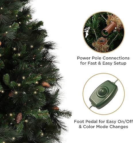 Miniatura 10 de Papyrus Árbol de Navidad artificial preiluminado de 7 pies, pino de Carolina, conos de pino, luces blancas cálidas, incluye soporte y bolsa de