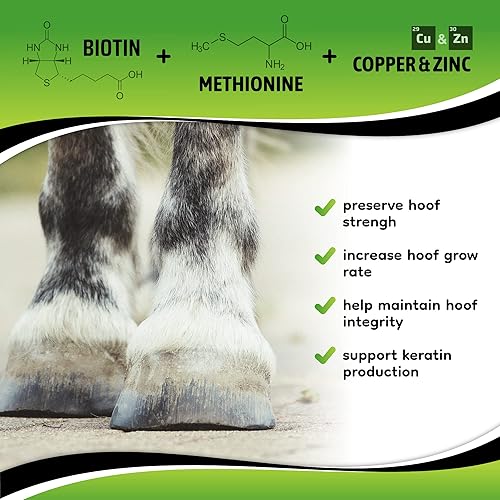 Miniatura 3 de SynoStride - Suplemento para la salud de las articulaciones todo en uno, para caballos, polvo con glucosamina, condroitina, ácido hialurónico,