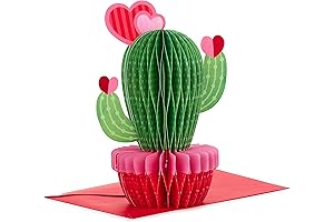 Hallmark Cactus Pop Up Valentine's Day Card
