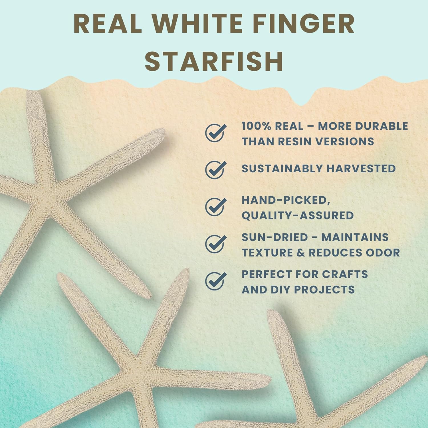 Nautical Crush Trading Starfish Decor - Star Fish for Craft - 10pk Real 6-8" White Sea Stars - Beach Wedding Decor - Coastal Party Decorations - Seashell Décor