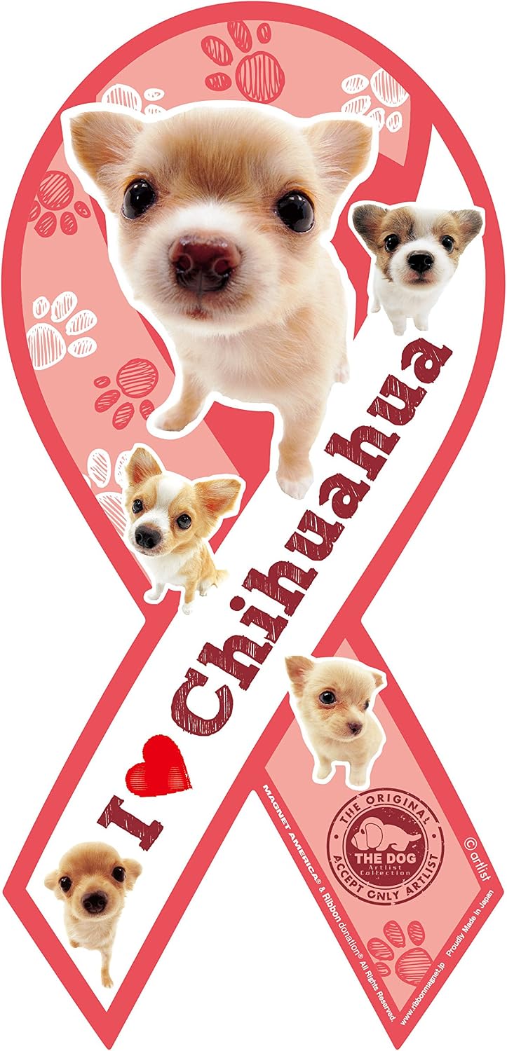 ribbon magnets THEDOG Chihuahua Cream