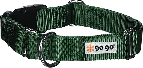 Vista 106 de GoGo Pet Products GoGo - Collar de perro Martingala de 3/8 pulgadas, talla XS, color naranja