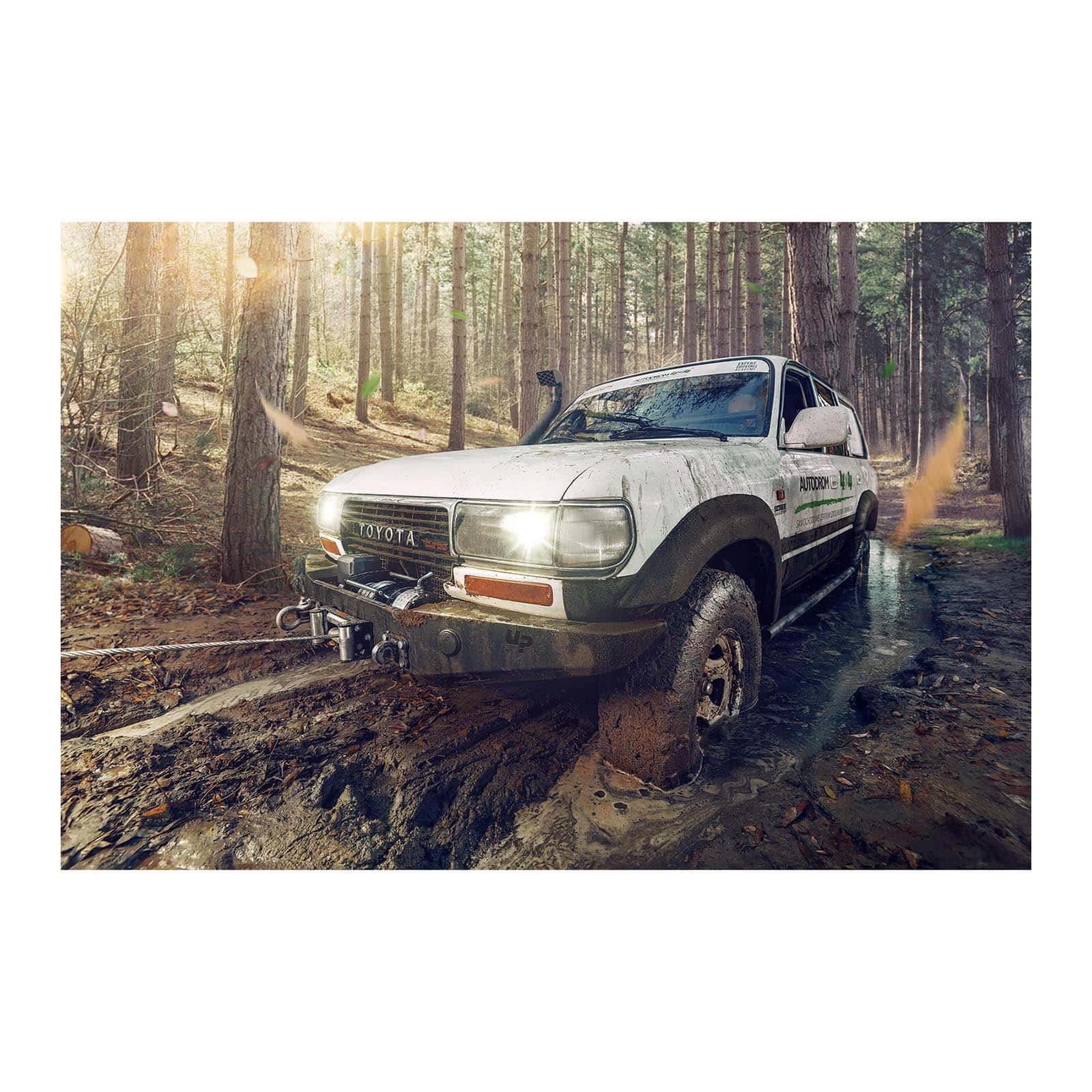 MSW Cabrestante Todoterreno PROPULLATOR 3500-B (Fuerza de tracción: 1.590 kg / 3.500 lbs, Motor de imanes permanentes, 12 m Cable, Dimensiones del tambor: Ø 32 mm, incl. polea de reenvío)