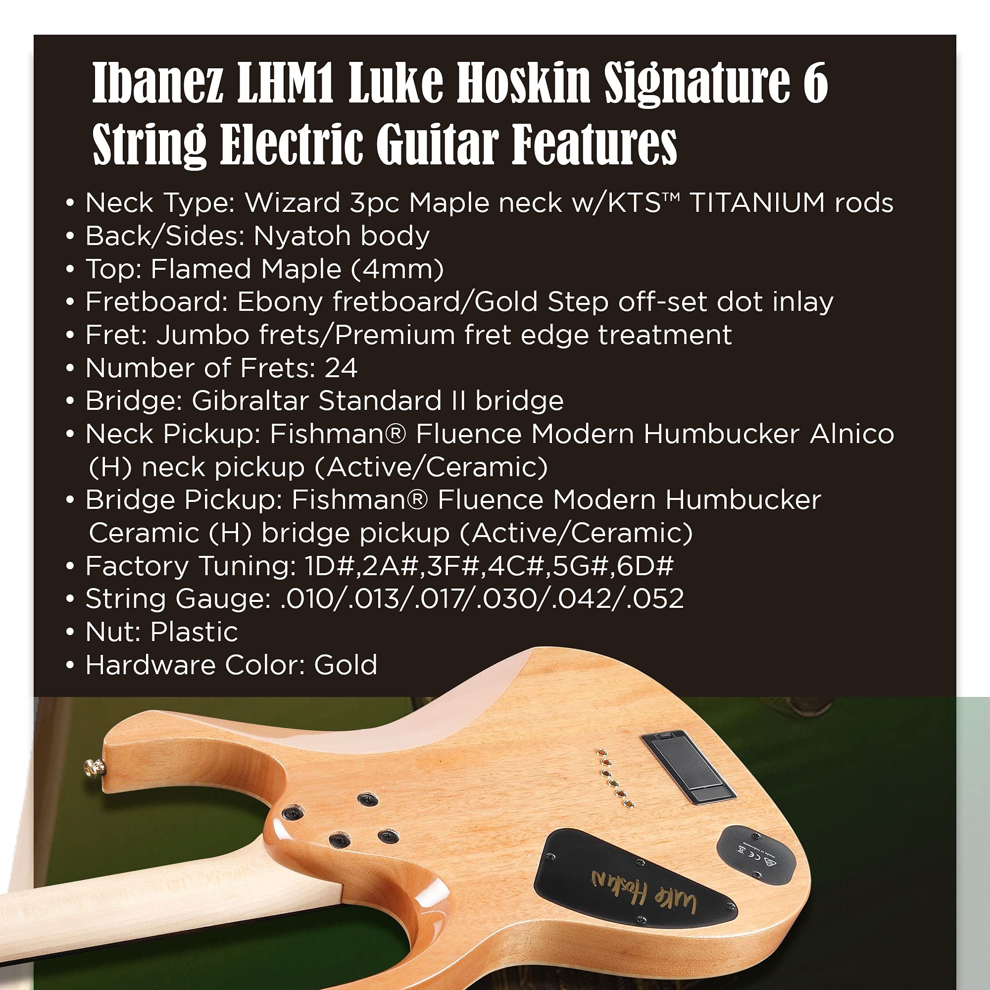 Ibanez Lhm1 Luke Hoskin Signature Guitar | Desertcart Gambia