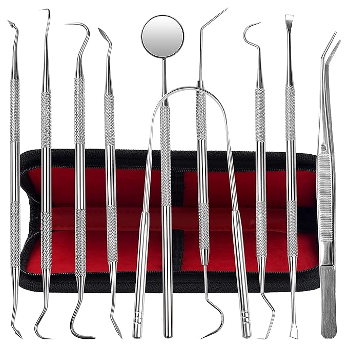 Dental Kit Tools, 10 Pack Stainless Steel Plaque Remover