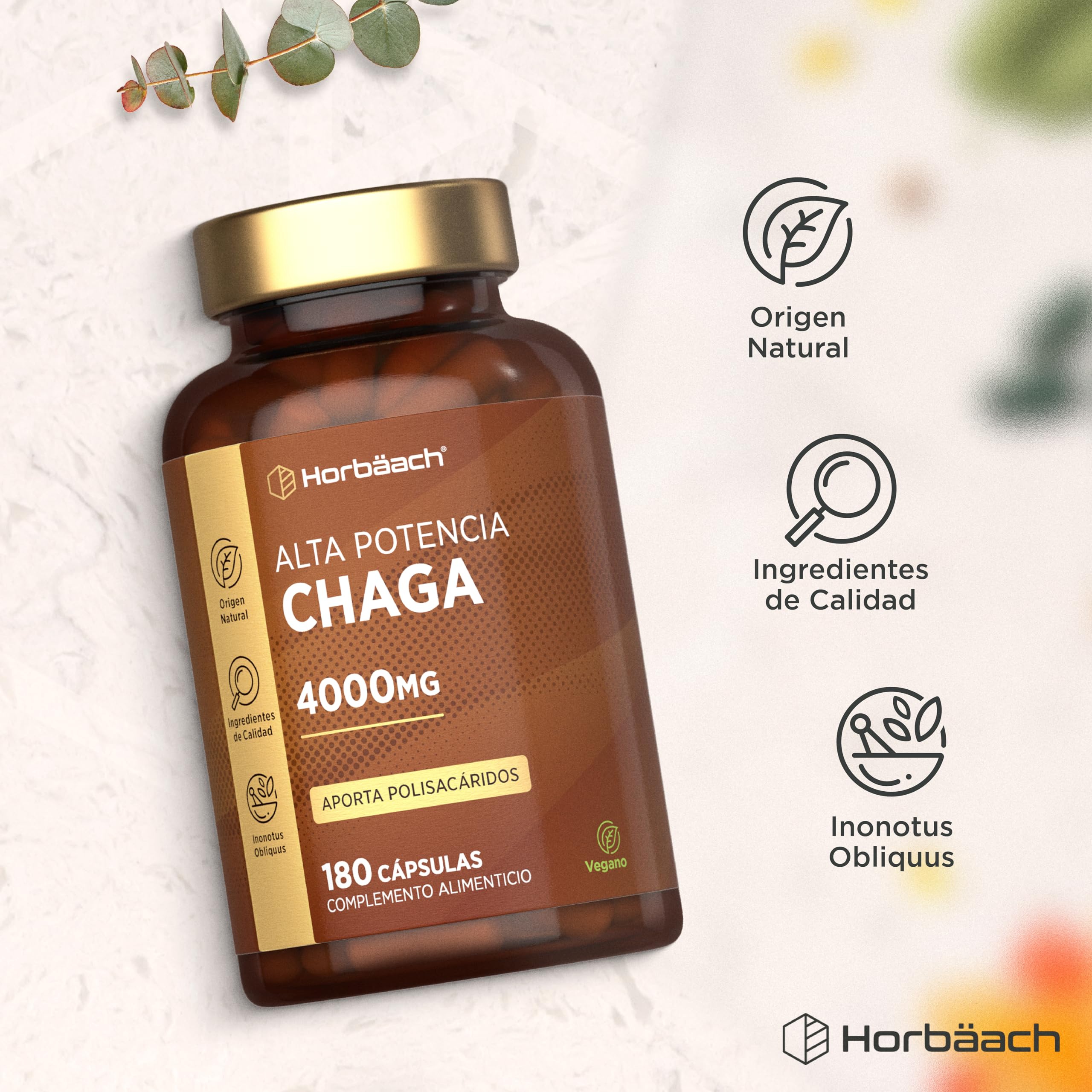 Chaga Mushroom Cápsulas 4000mg | Suplemento de Hongos Vegano de Alta Potencia | 180 Cápsulas de Polvo | De Origen Natural | Horbaach