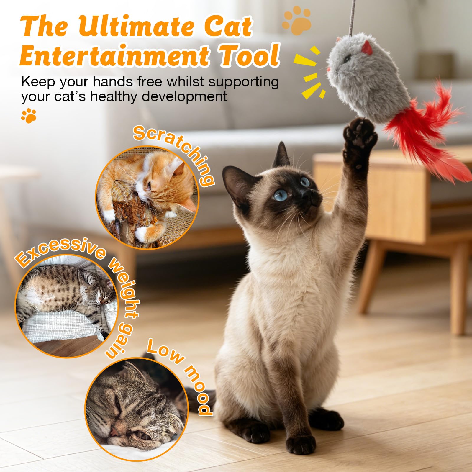 Romon Juguetes para Gatos, Set de 3 con Raton y Pájaro, Juguete Gatito Colgado de Puerta, Juguete Interactivo Gato con Cuerda Elástica Ajustable y Ganchos Adhesivos Transparentes