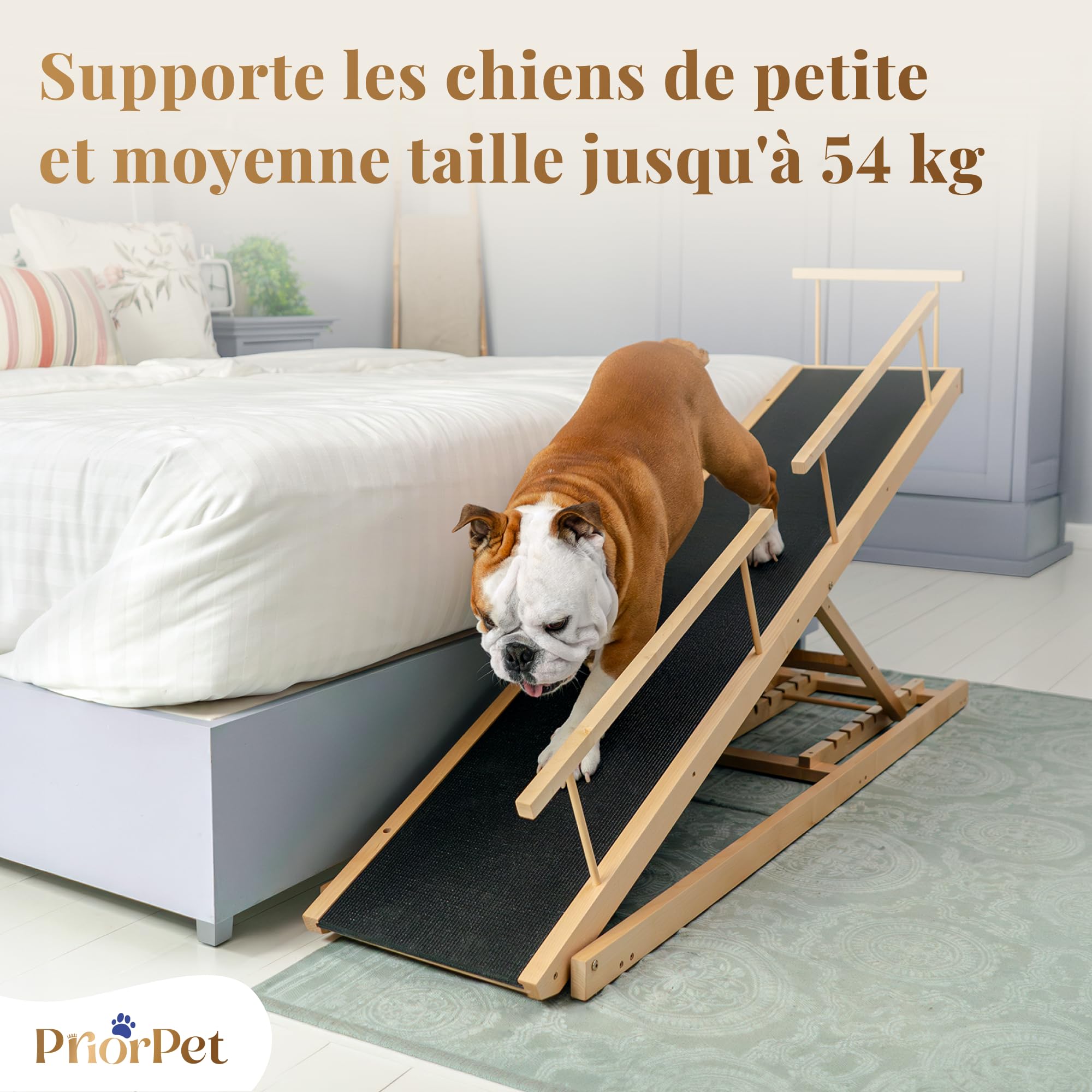 Rampe pour Chien Lit avec Barrières de Sécurité - Escalier pour Chien PRIORPET - Bois de Bouleau - pour Lit Haut jusqu'à 94.5 cm - Pliable -Poignée antidérapante-pour Les Chiens jusqu'à 23kg- Naturel