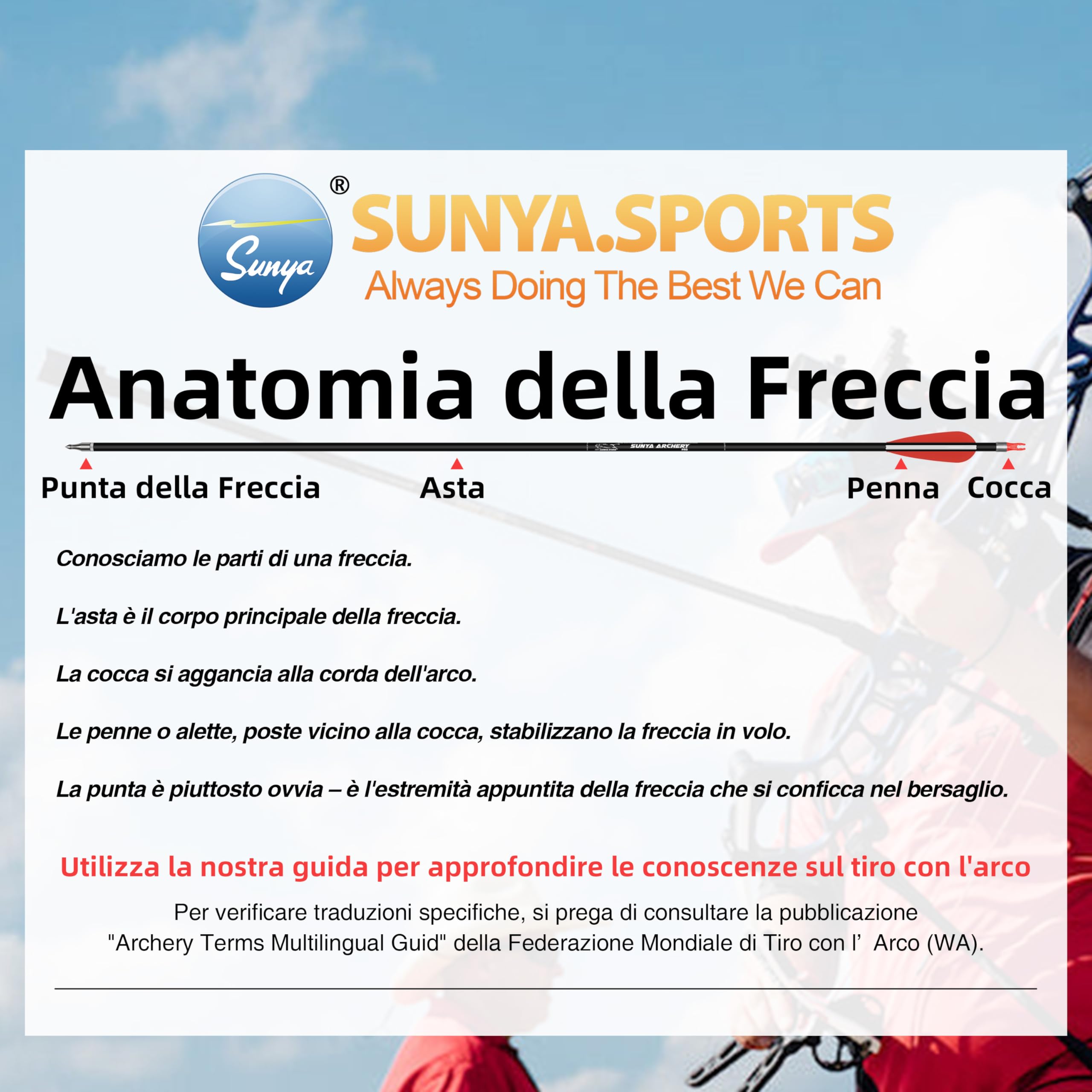 Sunya Frecce da Caccia Arco Compound e Arco ricurvo. Asta in Carbonio da 30 Pollici, Spina 400/500 con Punte Rimovibili. Confezione da 12 Pezzi
