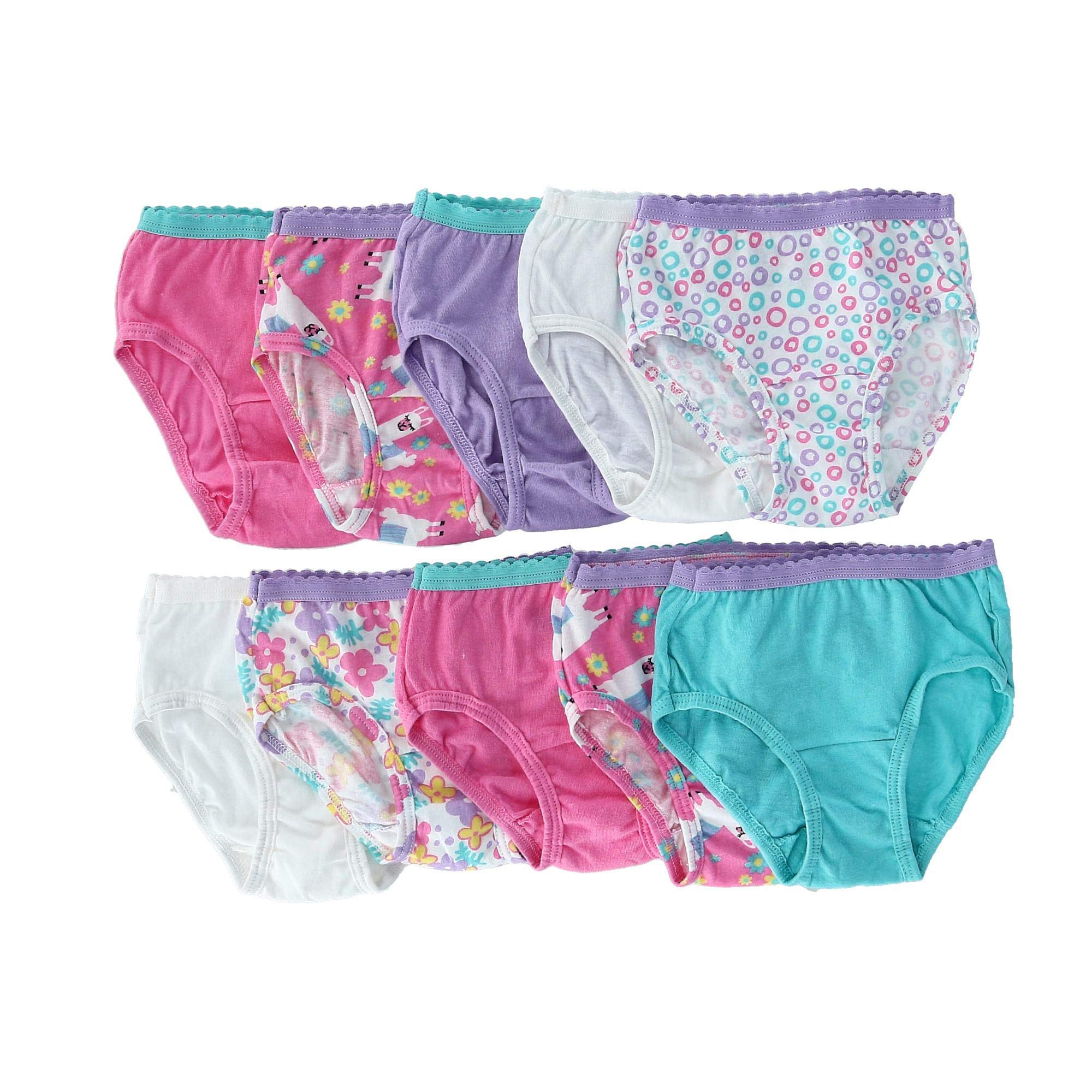 Fruit of the Loom Toddler Girls 10 Pack Assorted Cotton Brief Underwear