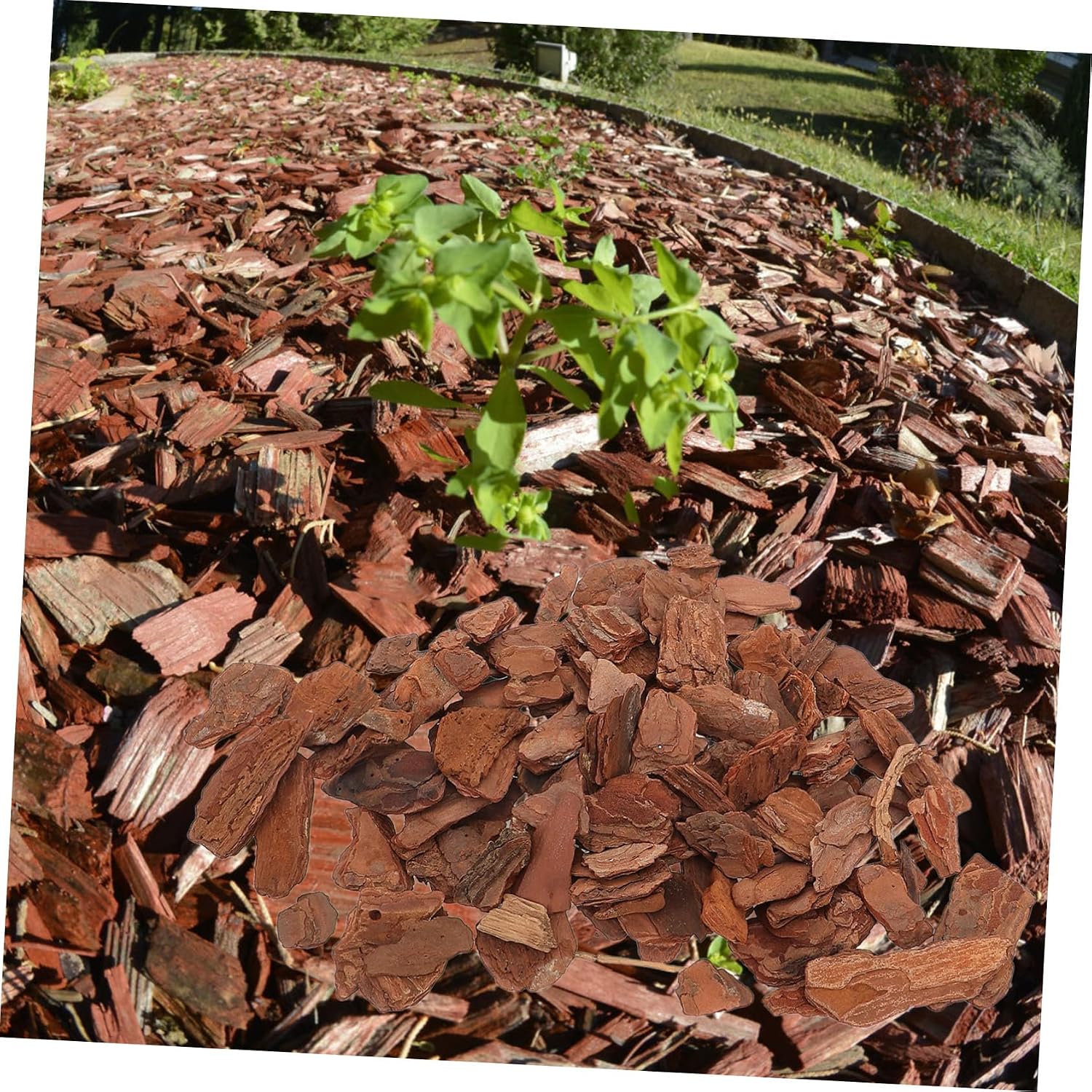 1bag Terrarium for Reptiles Lizard Bedding Bark Chips Reptile Cork Bark Decor Natural Chips Tree