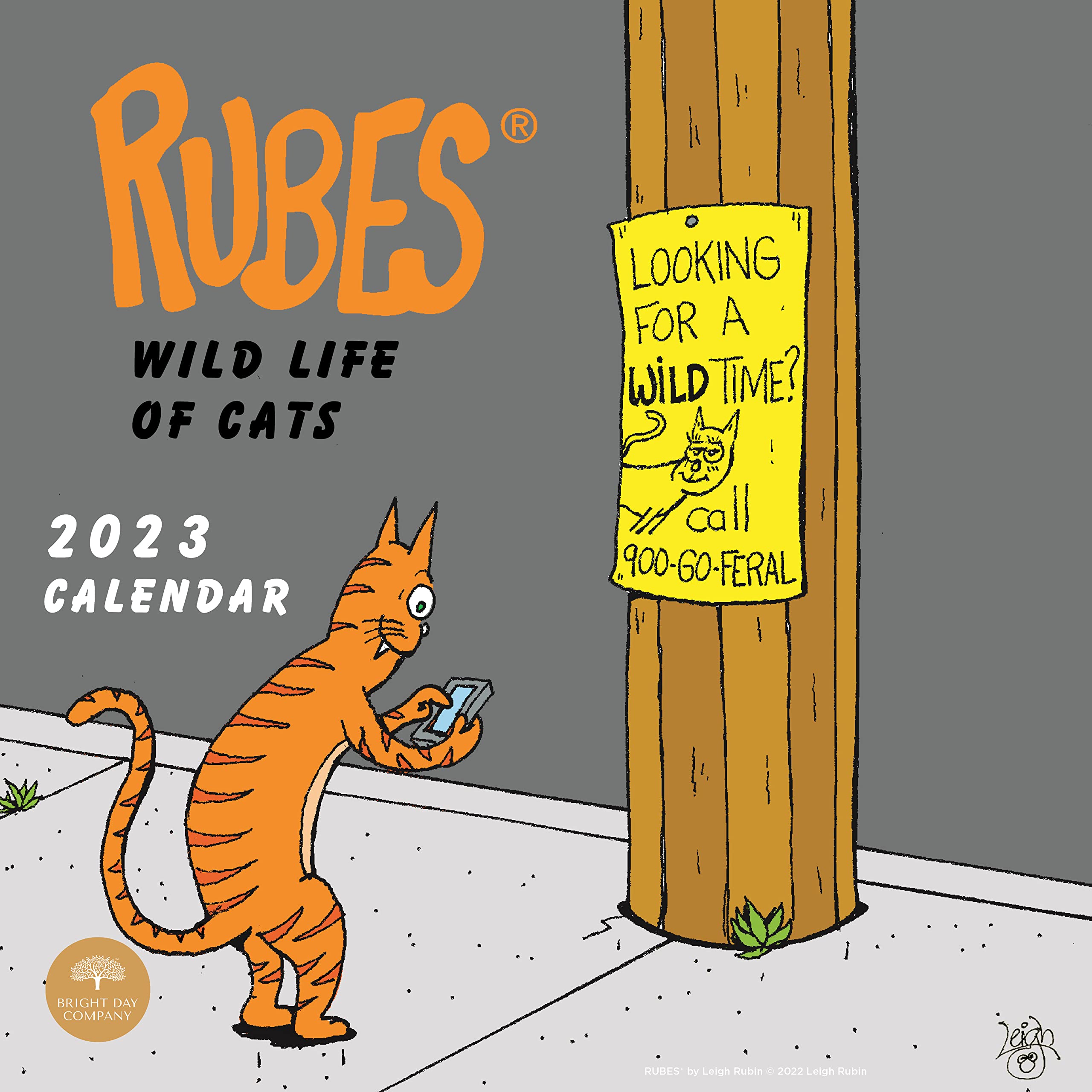 Amazon.com: 2023 Rubes Monthly Wall Calendar by Bright Day, 12 x 12 Inch,  Humor Jokes Laughs Funny Novelty Comic Strip (Cats) : Office Products