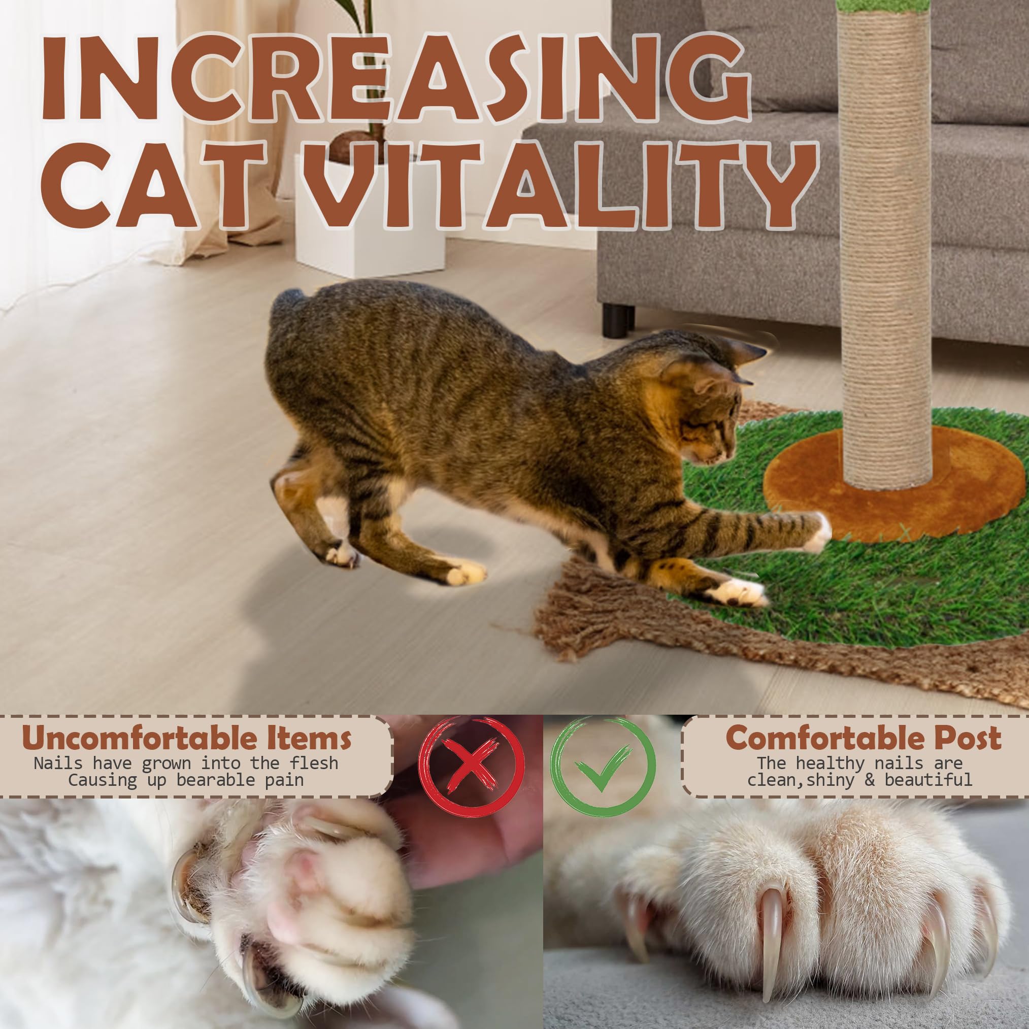 Poste rascador para gatos y gatitos de interior – Poste rascador para gatos de 60 cm de alto con cuerda de sisal, poste rascador para gatos de palmera con bola colgante (80 cm)