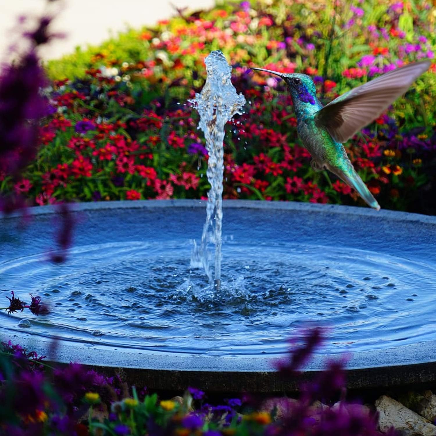 5W Solar Water Pump KIT: DC Brushless Submersible Water Pump 124 GpH with 12V 5W Solar Panel for Birdbath Fountain, Fish Pond, and Garden Water Features (No Backup Battery)