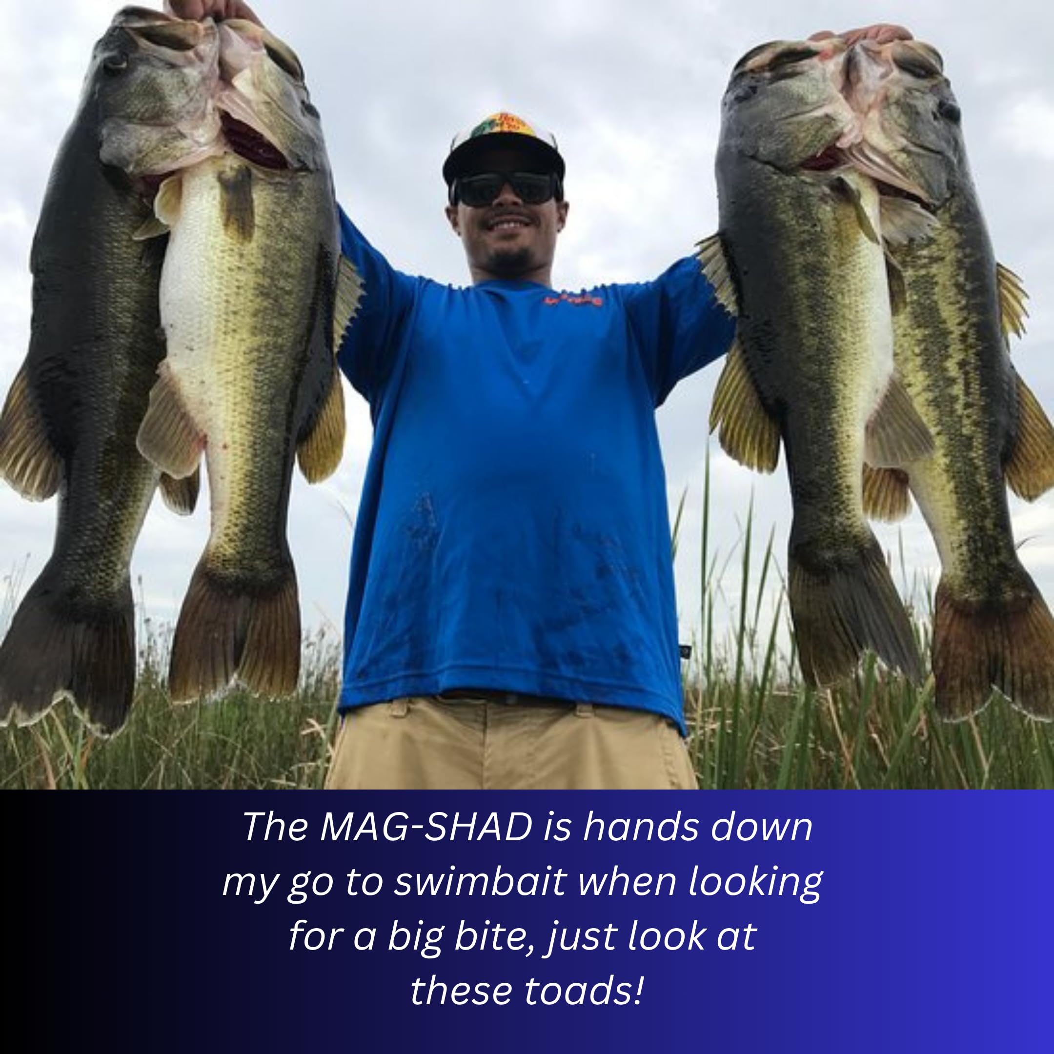 USA Bass Tackle Mag Shad – Duftinfundierter Magnum Paddle Tail Swimbaits Pre Rigged Angelköder Premium-Köder mit starkem Besitzerhaken, Angelausrüstung für riesige Raubfische