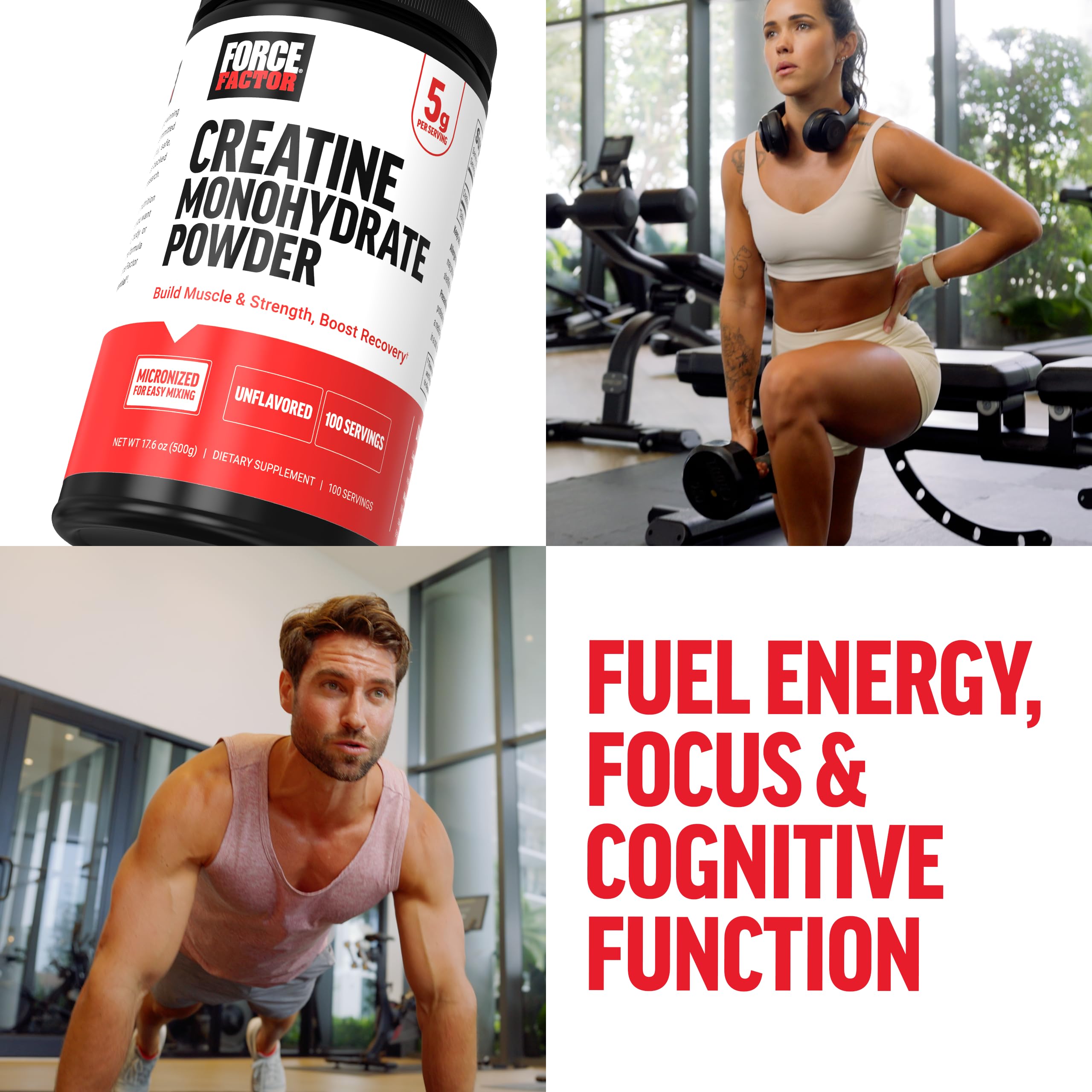 Force Factor Creatine Monohydrate Powder, 5g Micronized Dose to Support Muscle Growth, Strength, Recovery, Cognitive Health & Memory, Unflavored, 100 Servings