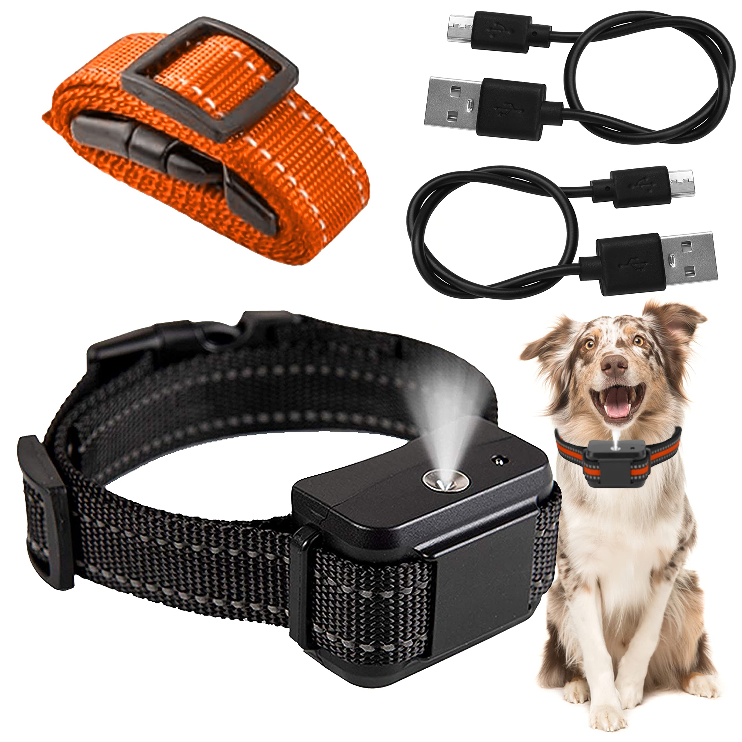 Are Citronella Dog Collars Safe
