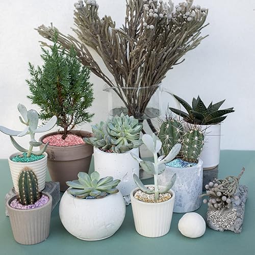 Miniatura 4 de HappyFiller Decoración de terrario de jardín de hadas de vidrio triturado azul cielo de 0.15 a 0.27 pulgadas, arena de gránulos de 1.3 libras,