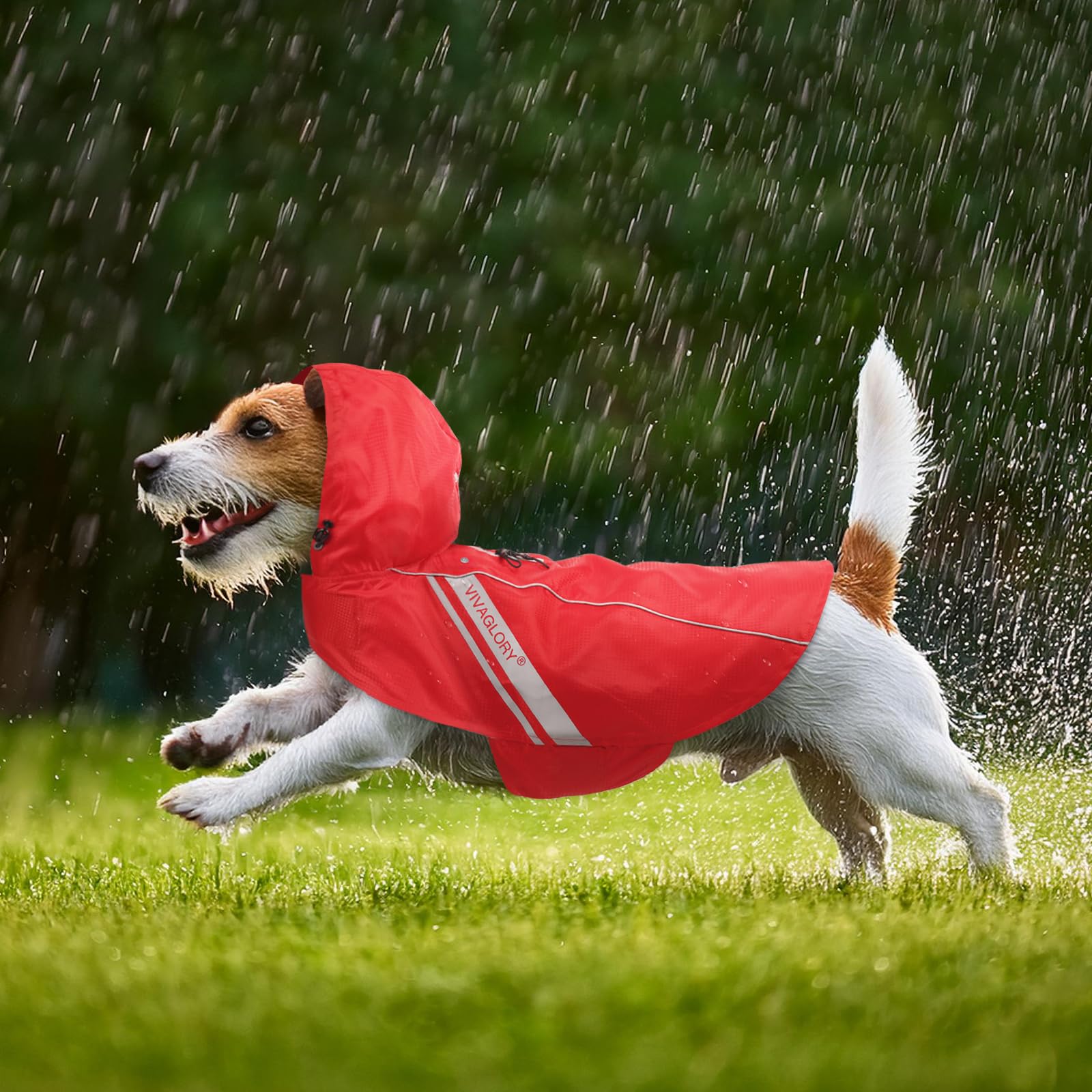 VIVAGLORY Wetoff Manteau de Pluie pour Chien, Veste Imperméable pour Chien d’Hiver, Protection Imperméable Réfléchissante Contre la Pluie, Déperlante et Respirante, XS, Rouge