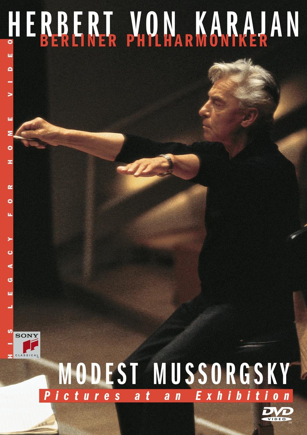 MUSSORGSKY;MODESTE PICTURES AT AN EXHIBI [DVD]