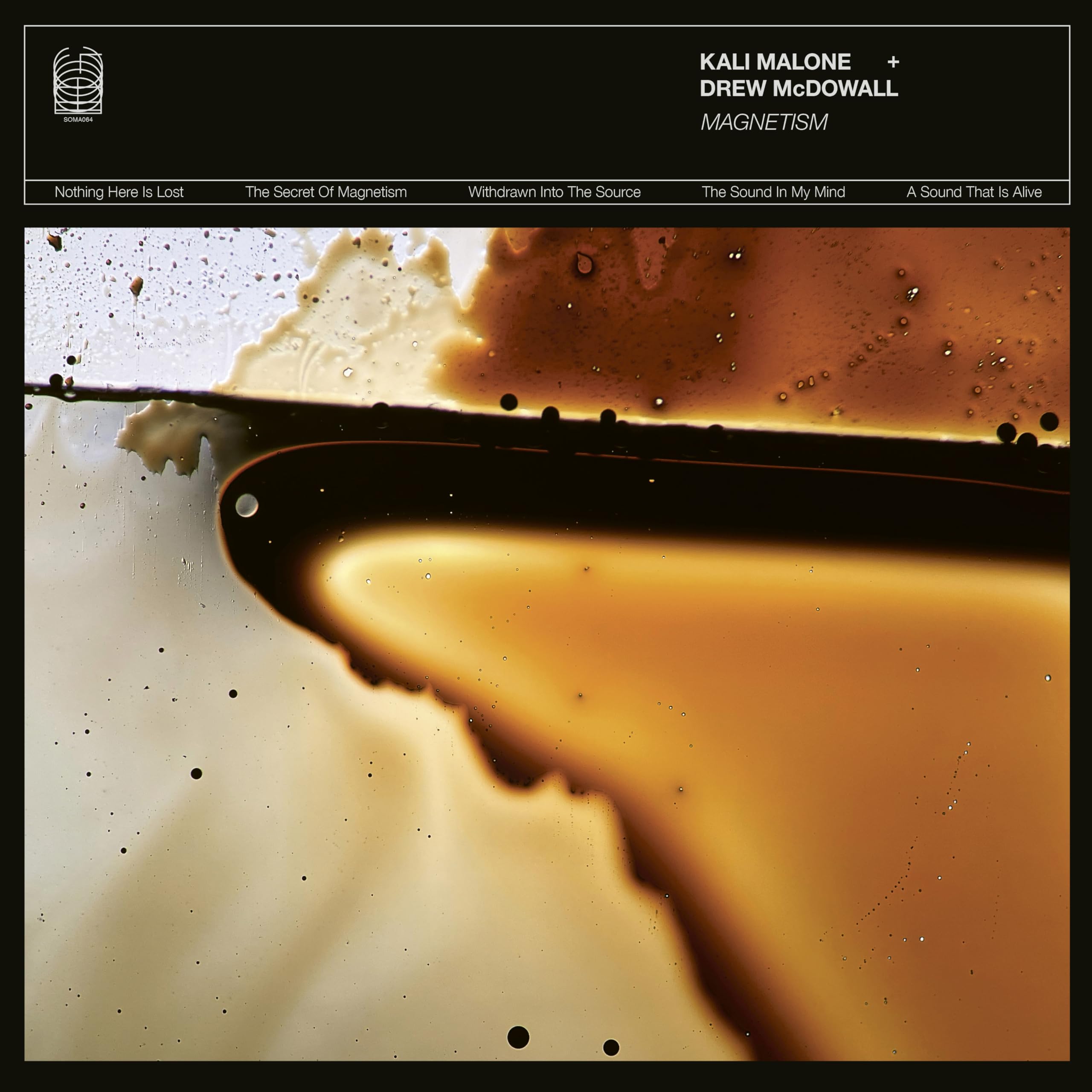Magnetism [VINYL]