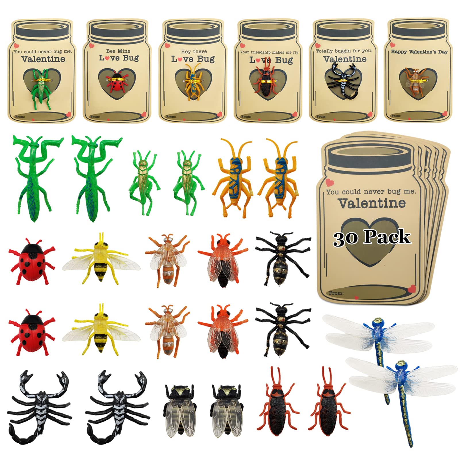 Amazon.com: Kids Valentines Day Gifts, Love Bug Valentine Cards for Kids,  Insect Valentine, Valentine's Day Card, Nature Themed Valentine, Funny  Valentine Favor for Classroom Valentine Exchange : Toys & Games