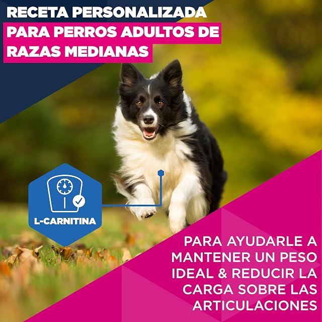 Foto 3 de 8 de Eukanuba, alimento seco para Perros con Pollo Fresco para Razas Medianas