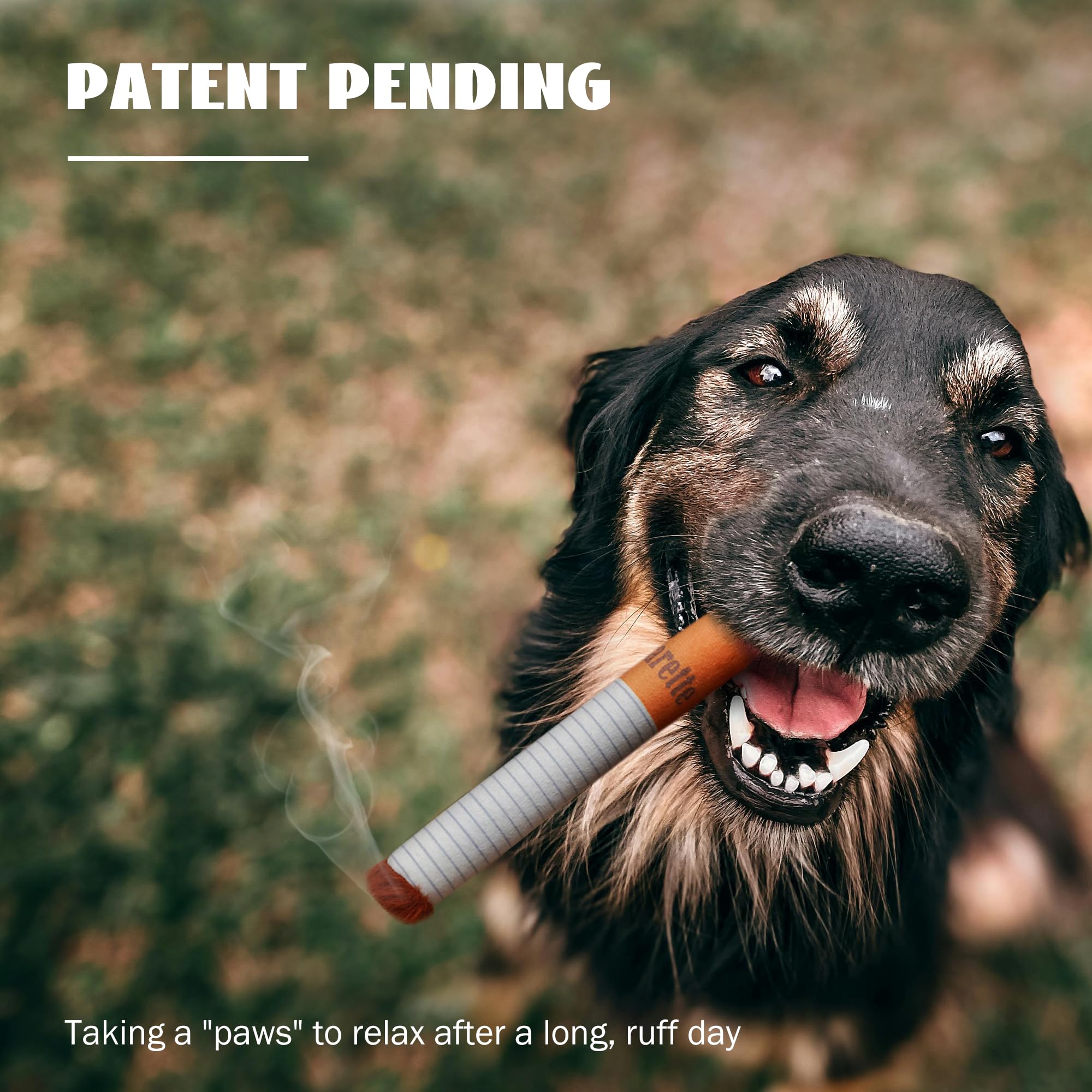 Nocciola Dog Toys Nocciola Giggle Puff Stick Toys - 3 Pack Funny Sound  Plush Dog Toys For Small To Medium Breeds Dog Toys Funny