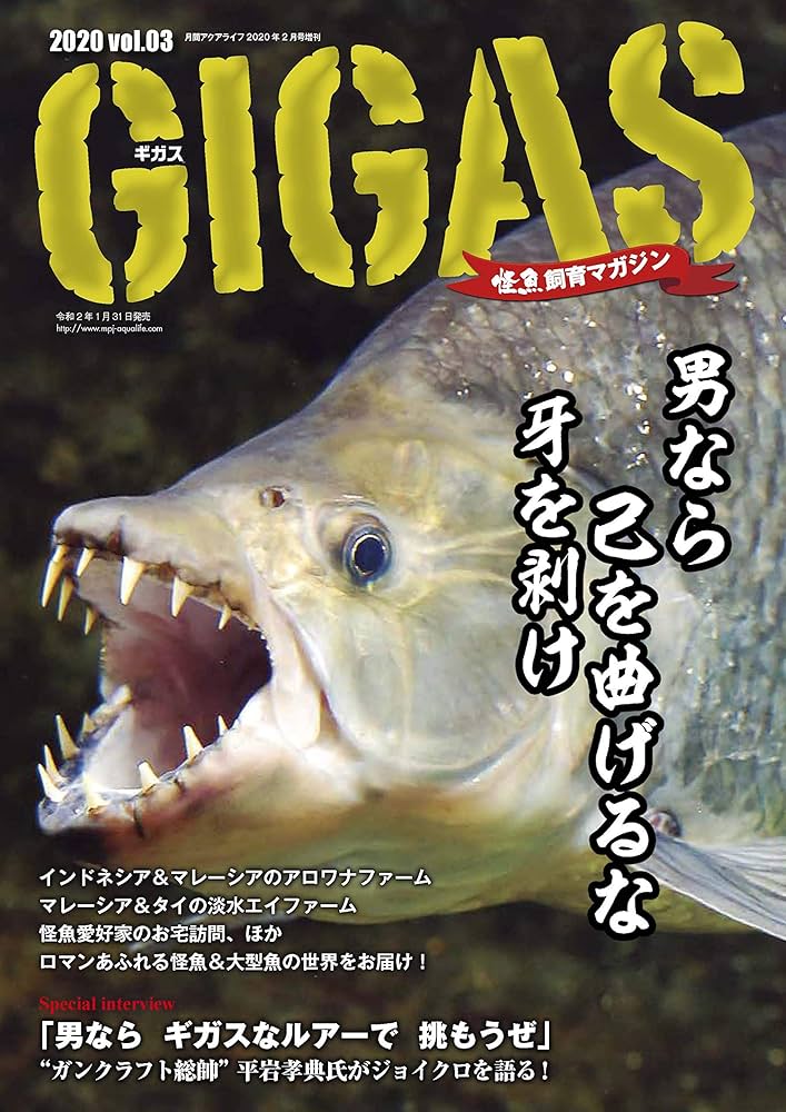 クモ男 ピラザウルス カマキリ男 3体セット売り ポピー 当時物オリジナル保証 Amazon.co.jp: 超リアル カブト VS クワガタ MB2 BIG ぬいぐるみ