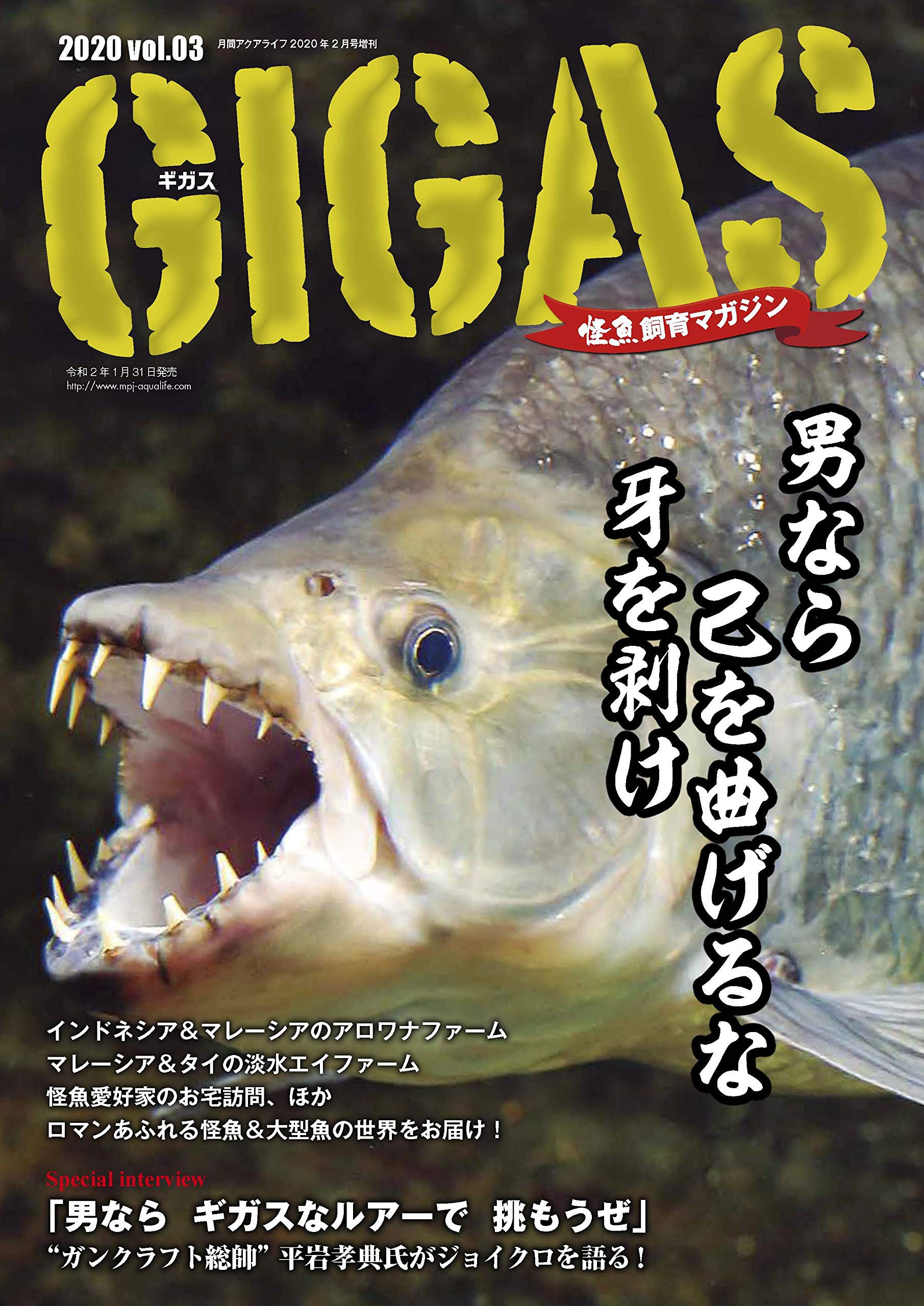 怪魚飼育マガジン Gigas ギガス Vol 03 本 通販 Amazon