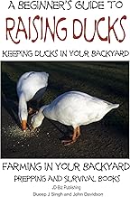 A Beginner’s Guide to Keeping Ducks - Keeping Ducks in Your Backyard