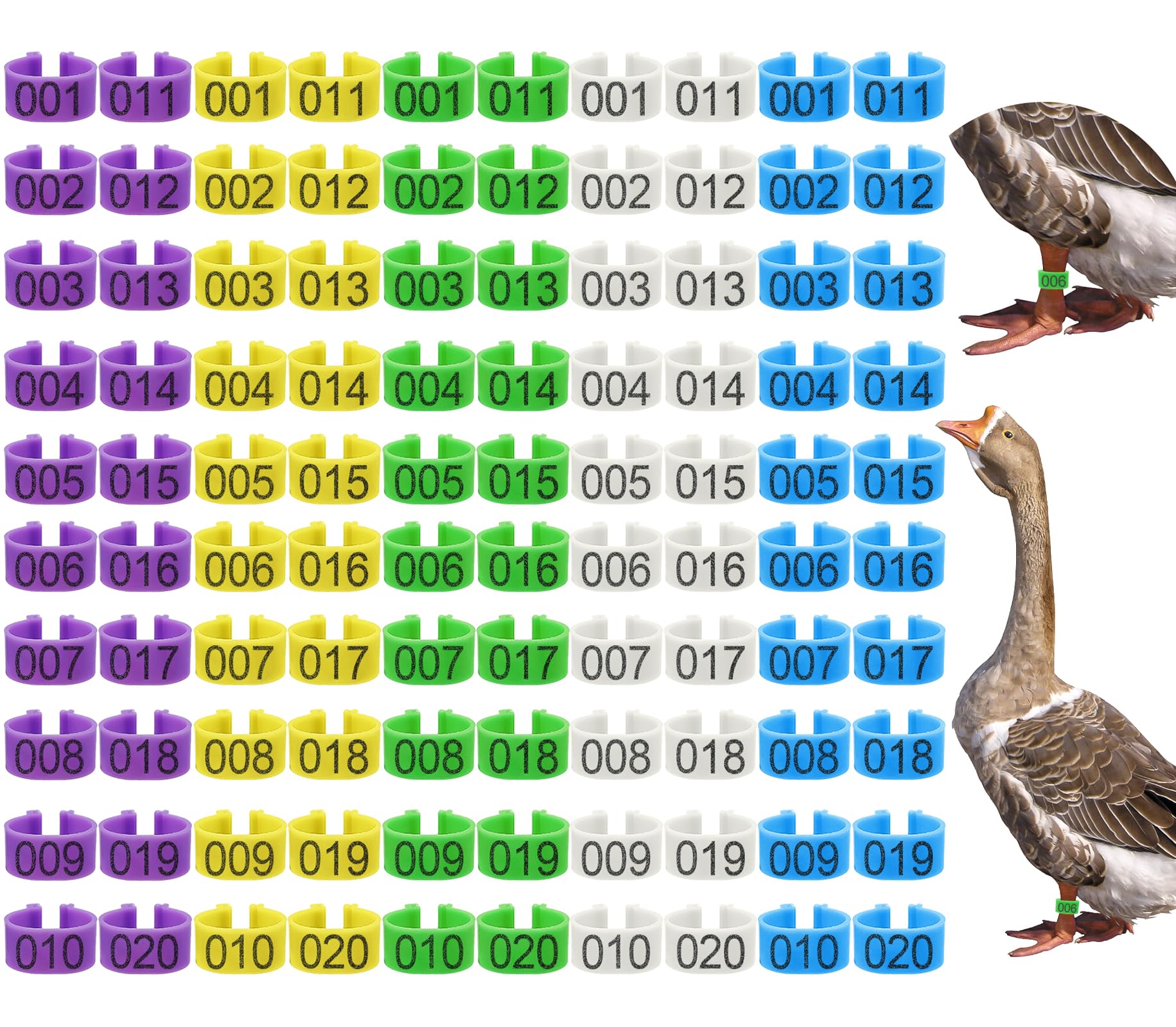 Keedolla 100Pcs 25mm Chicken Leg Rings Duck Leg Bands with 5 Color, Poultry Leg Bands Clip on Leg Rings for Ducks Guinea Goose Gamefowl Turkey - Large