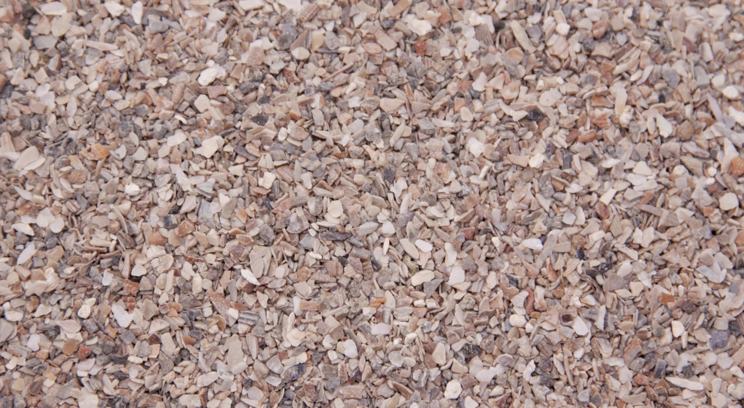 Dihl Poultry Extra Fine Oyster Shell Grit (1-2.5mm), High in Calcium, Enhancing Strong Bones, Helps Digestion, Promotes Quality Chicken Hen Eggs, Soluble and Natural (2 KG)