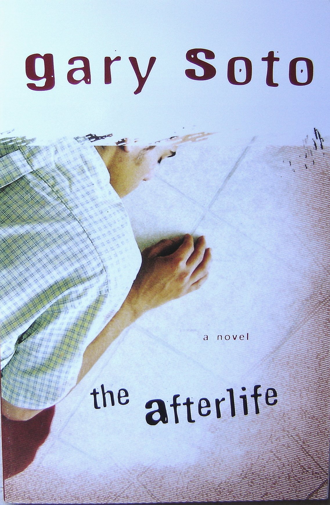 The Afterlife Gary Soto Books