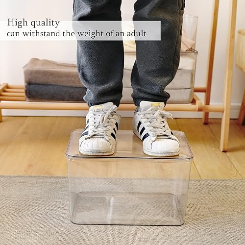 Lidded Plastic Storage Bins Set Clear Desk Basket Box Organizer Kitchen Container Clothes Laundry Closet Cabinet Shelf, Organization and Storage for Shelves Office Bathroom(clear 3XL+2M)(clear 3XL+2M)