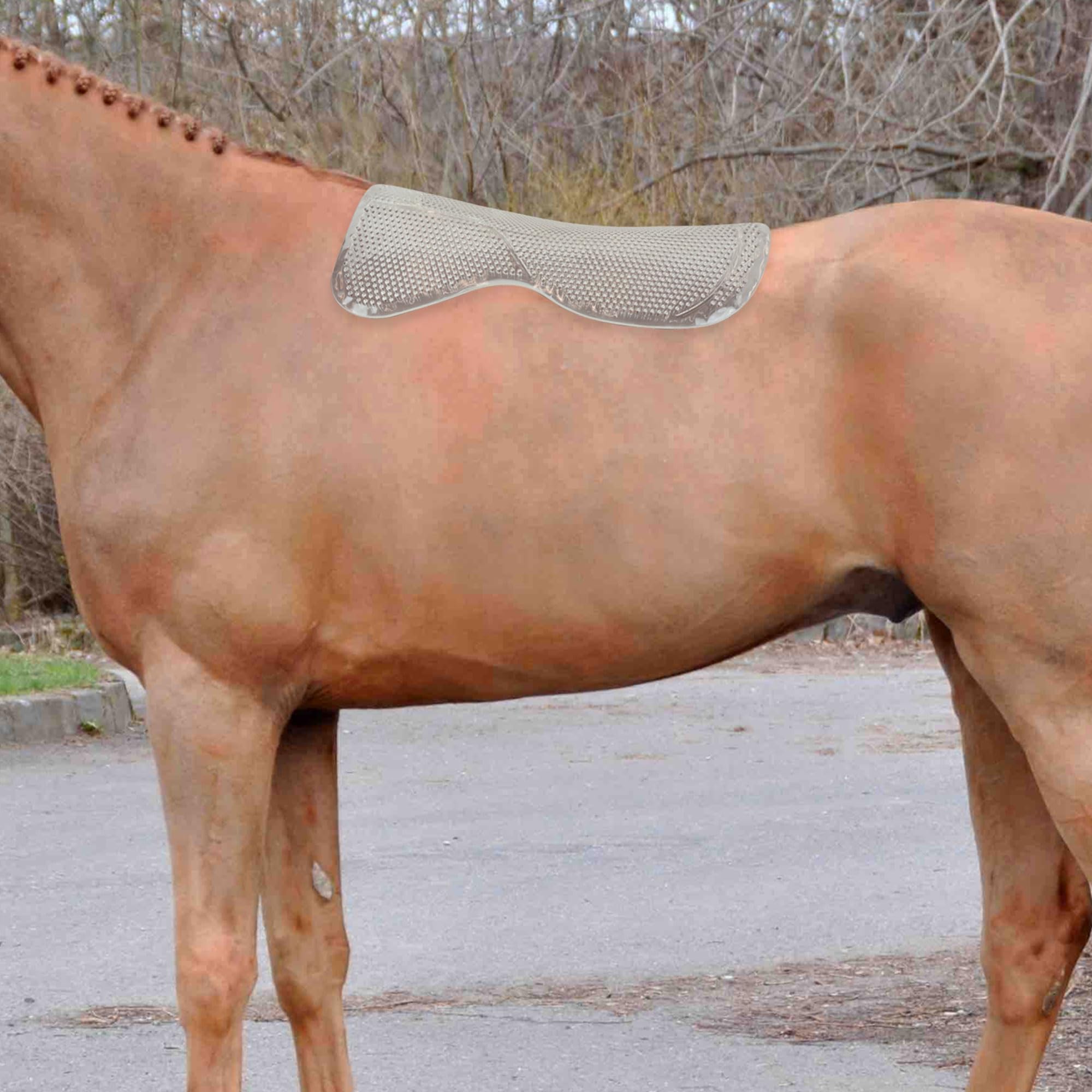 Horses Semisottosella in Gel Gelly, Semisottosella Morbido e Resistente