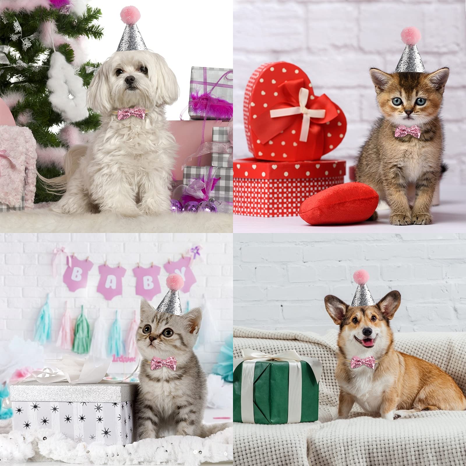 6er-Set Geburtstagshüte Für Hunde & Katzen – Bunte Partyhütchen Mit Elastischem Band