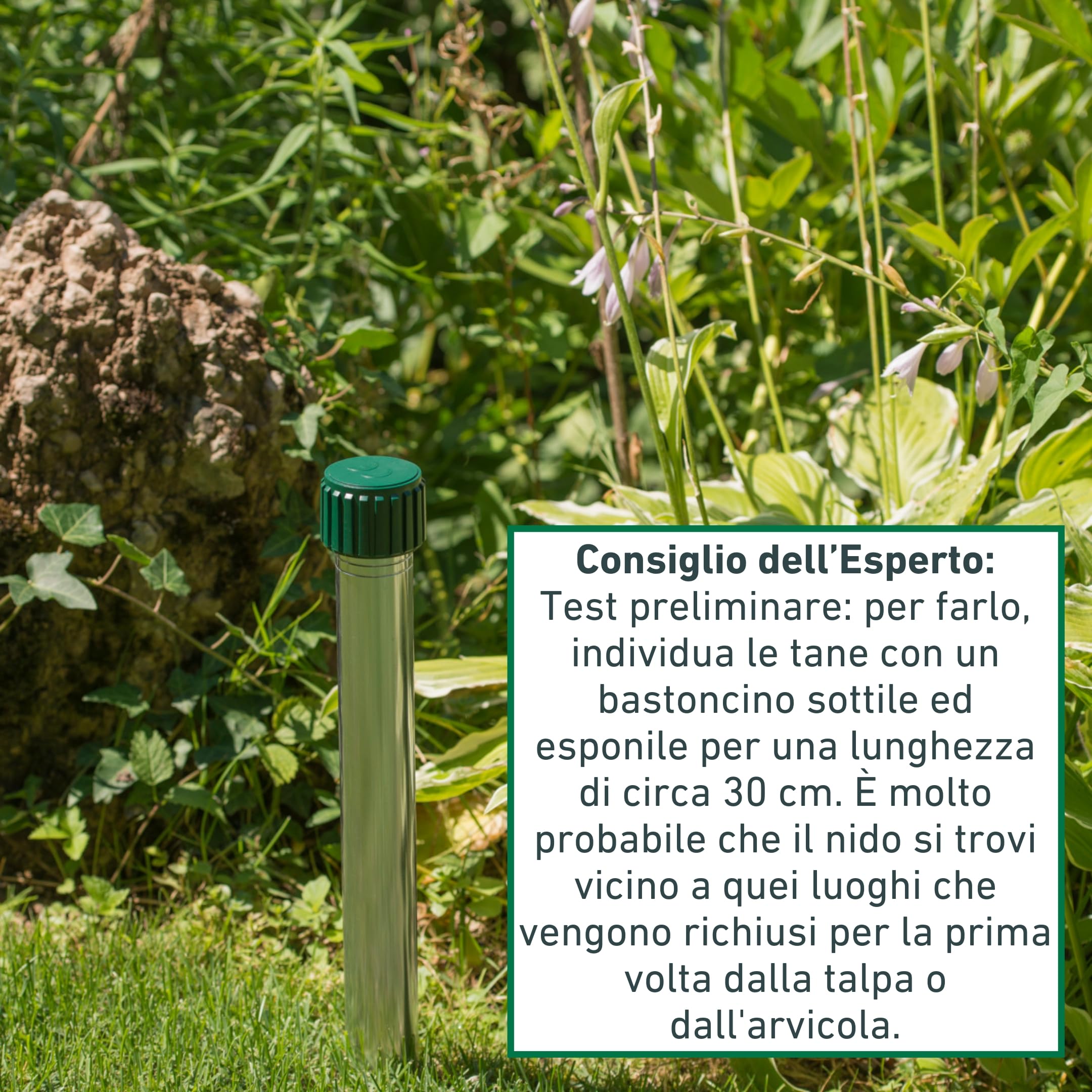 Windhager espulsore di Vole Alluminio, Repellente della Mole, Repellente della Talpa, Difesa della Talpa, Superficie Efficace ca. 800 m², 02130
