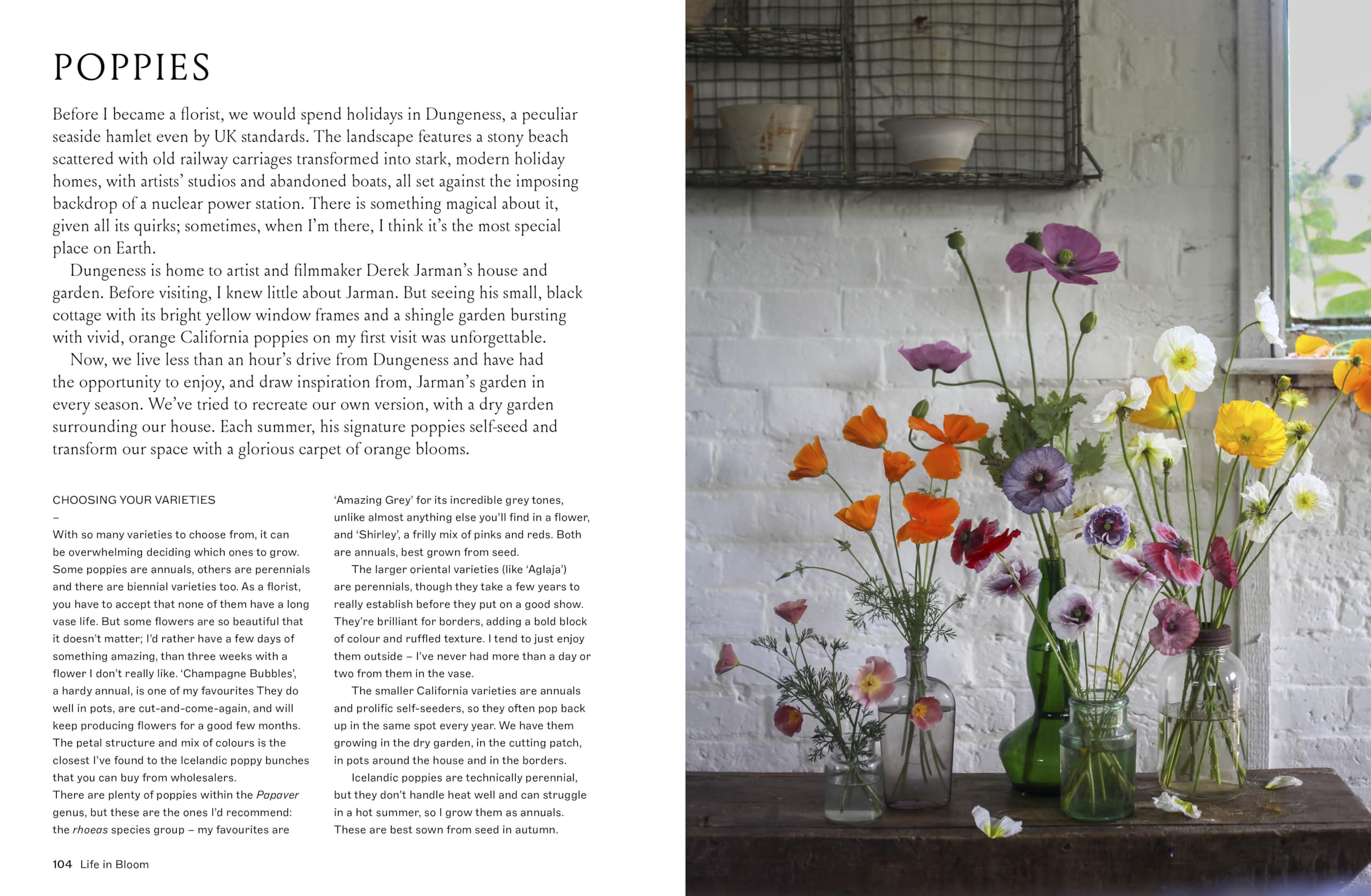 Life in Bloom: Grow, Gather & Arrange Seasonal Flowers