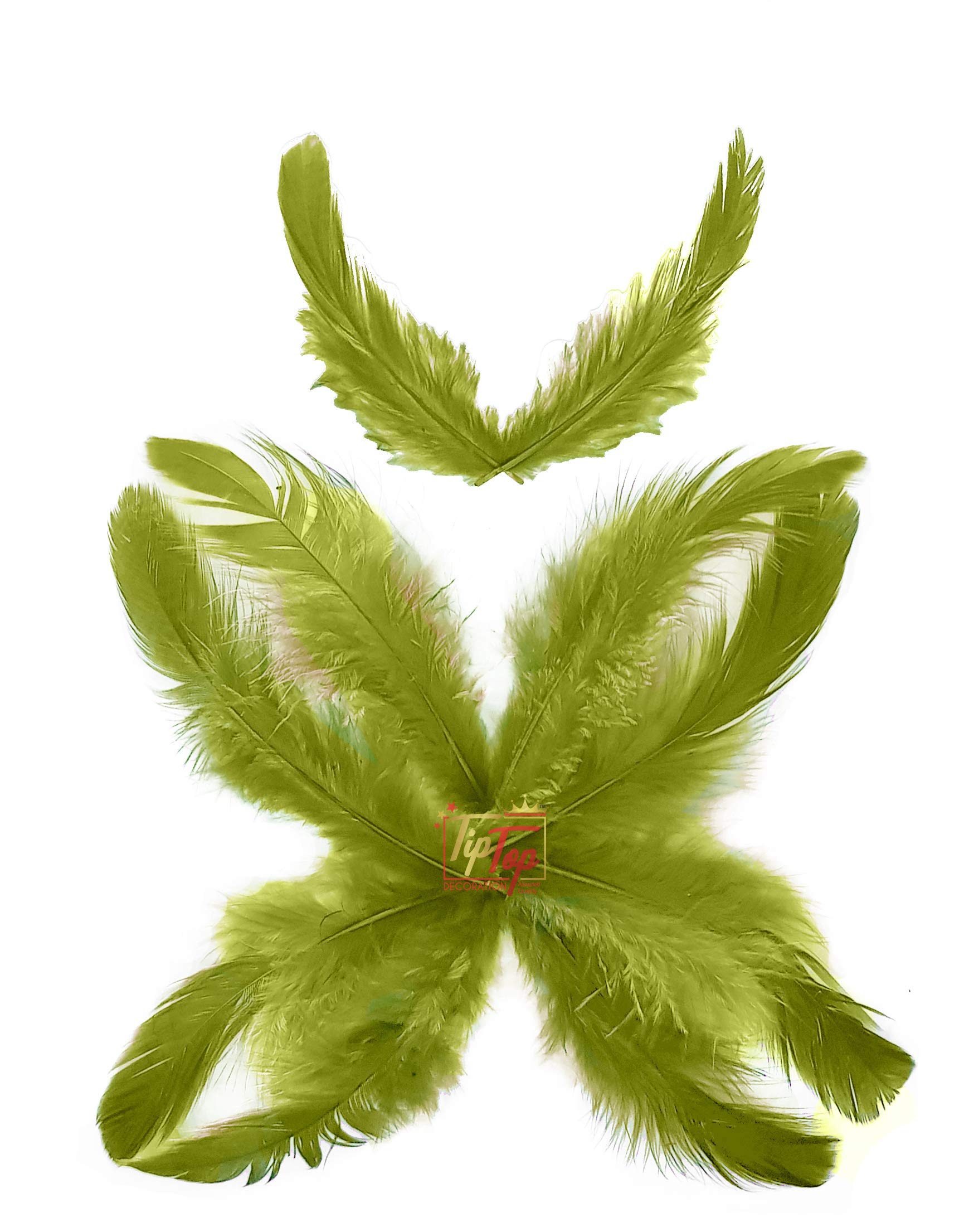 TIPTOP DECORATION Natural Dyed Feathers 10 cm (80 pieces) (Mehndi Green) 1
