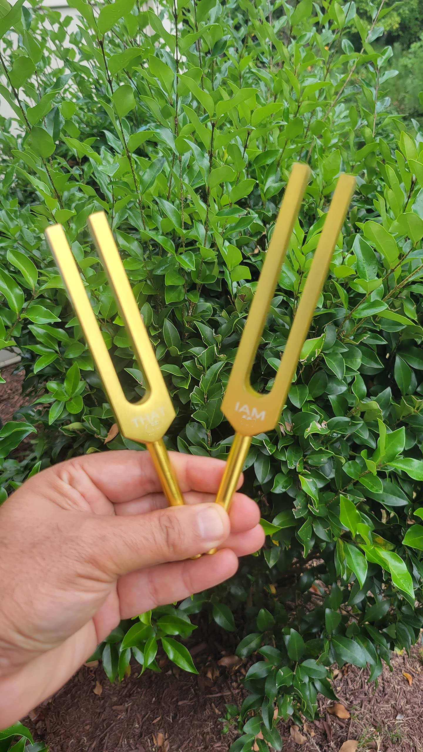 Edge 31507-3 Juice with Attitude CTS3 Tuner & Monitor