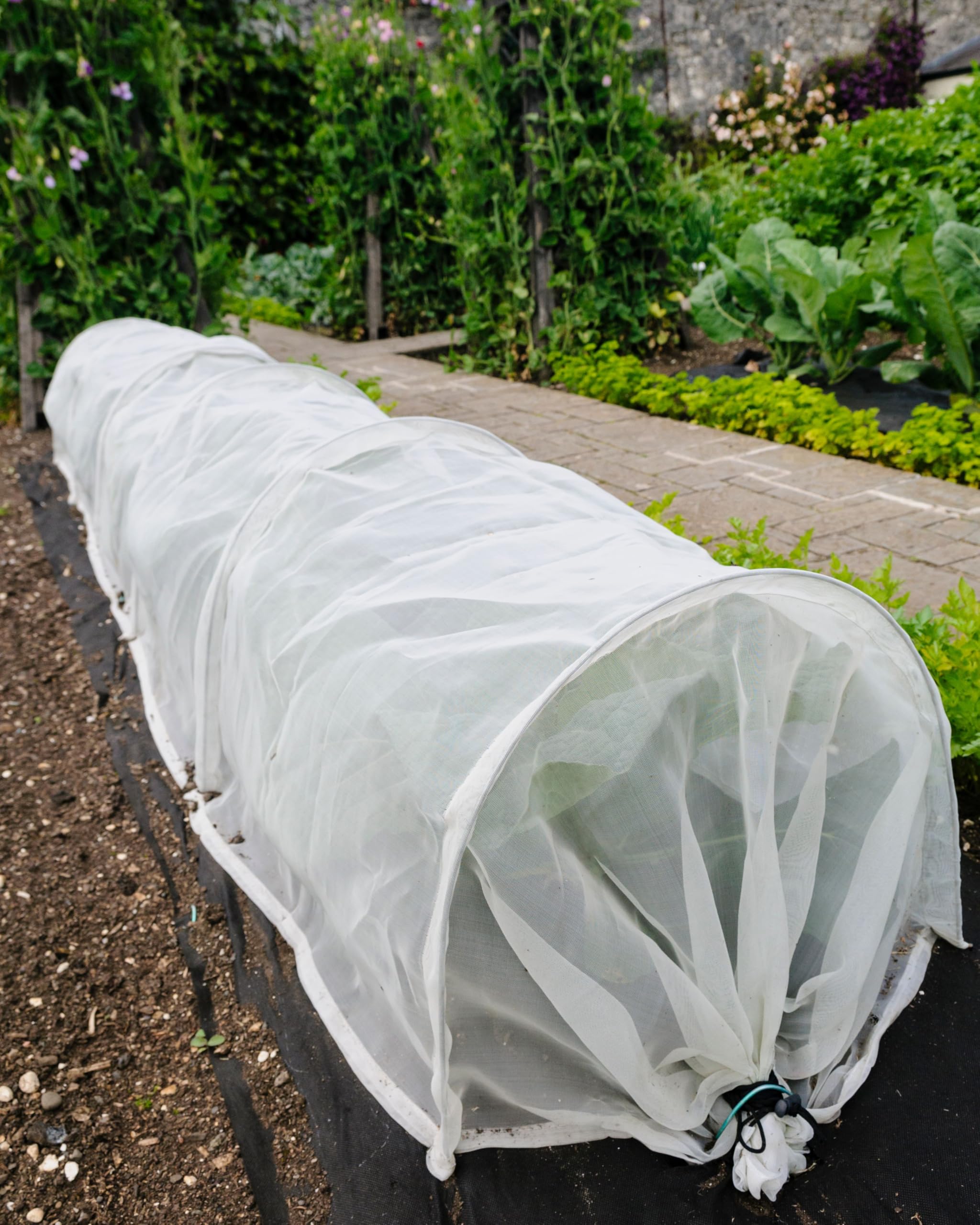 EraGreen Abdeckvlies 19g/m² - 3,2m x 40m - Frostschutzvlies für Pflanzen, atmungsaktiver Wachstumsvlies, Frühbeetvlies, Gartenvlies zur Abdeckung von Gemüsebeeten