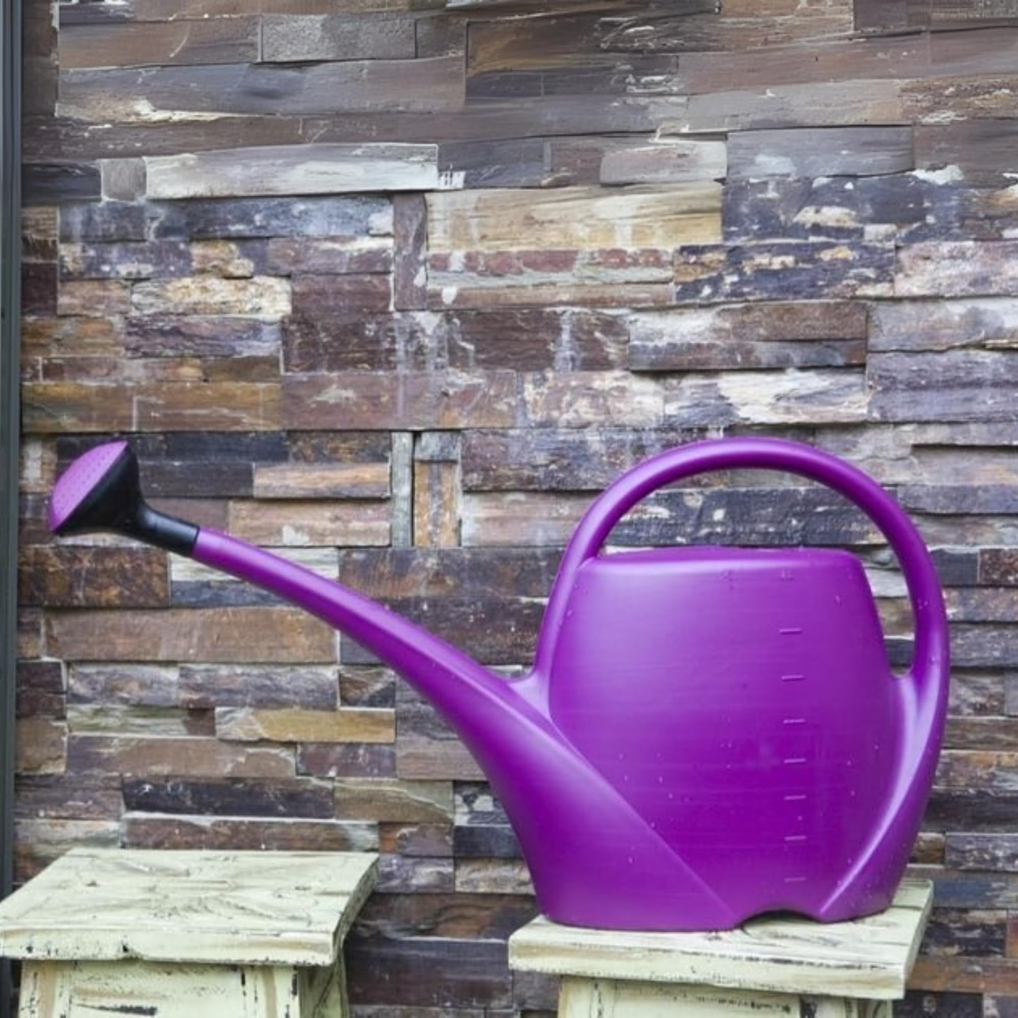 Piccolo Annaffiatoio In Plastica Durevole Da 1 Pezzo - Perfetto Per Piante E Fiori In Vaso - 3