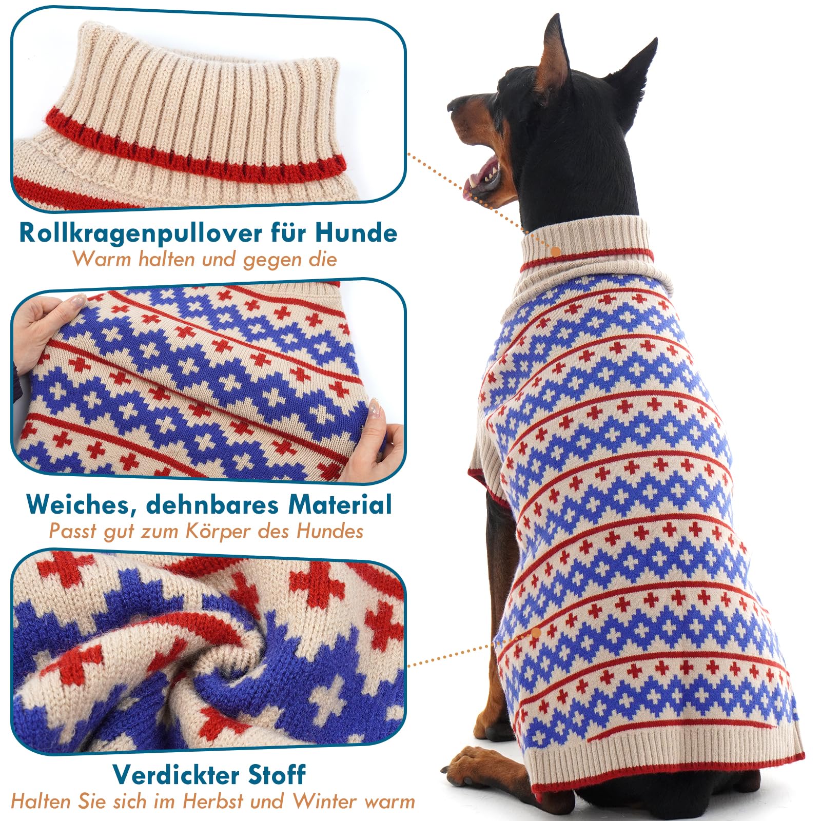Cani Maglione Albicocca