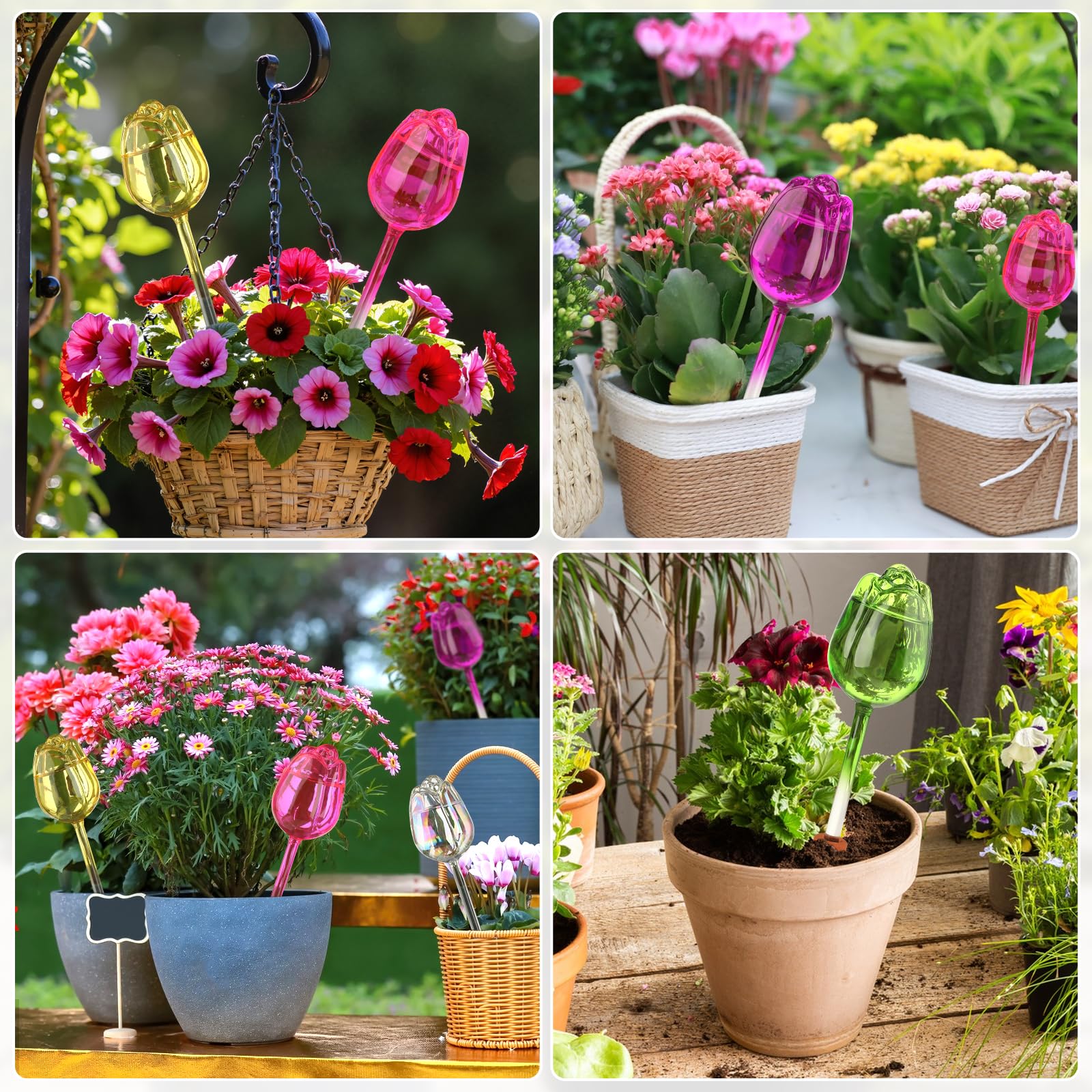 VZZNN 6 Set Pflanzenbewässerungskugeln Tulpen, Selbstbewässernde Kugeln, Automatische Pflanzenbewässerungsgeräte, Selbstbewässernder Pflanzeinsatz mit Bewässerungsspikes, Glasbewässerungsbirnen für