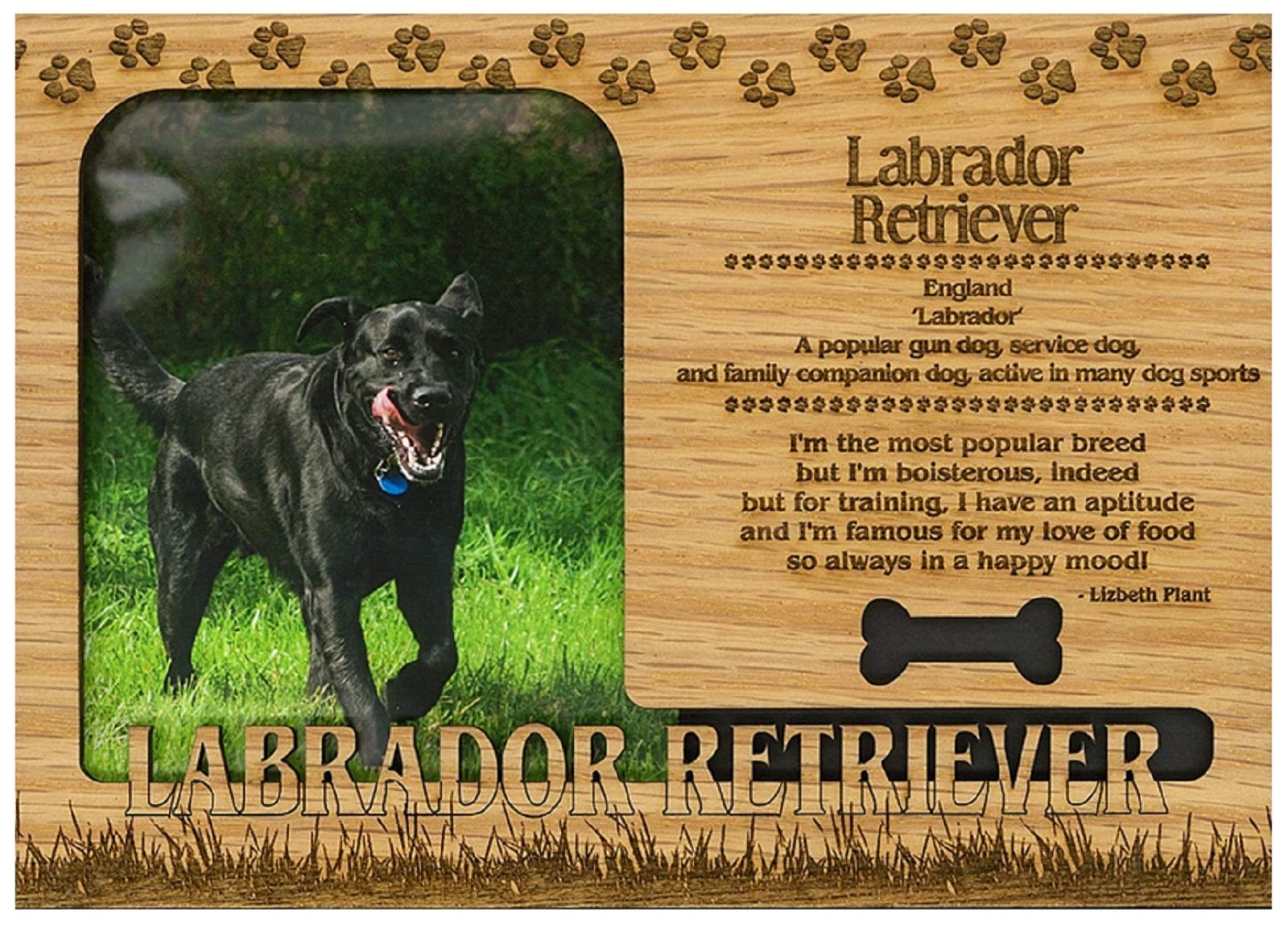 Labrador Retriever Engraved Wood Picture Frame Magnet