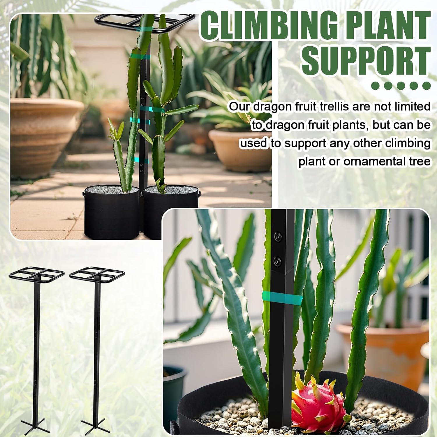 8 Pcs 12 x 48 Inch Dragon Fruit Plant Trellis with 20 Gallon Grow Bags and Wide Stretch Ties for Vertical Gardening Dragonfruit and Vining Plants