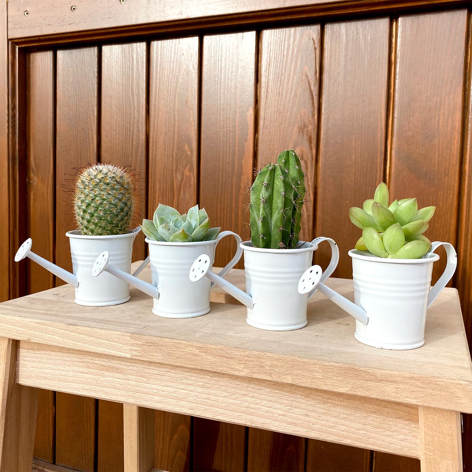Mini Annaffiatoio In Ferro Bianco Stile Shabby - Vaso Per Piante Grasse E Bonsai - Decorazione Rustica