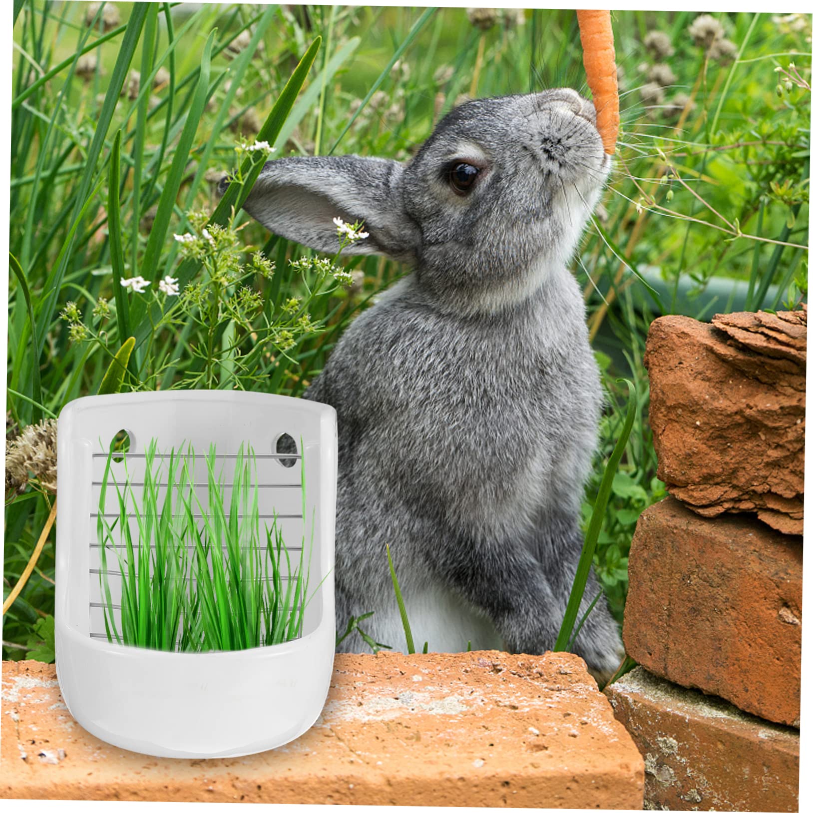 Happyyami Keramik Weiß für Futternapf Futterspender Kleintiere mit Doppelfunktional Glatte Oberfläche Leicht zu Montieren für Kaninchen und Meerschweinchen